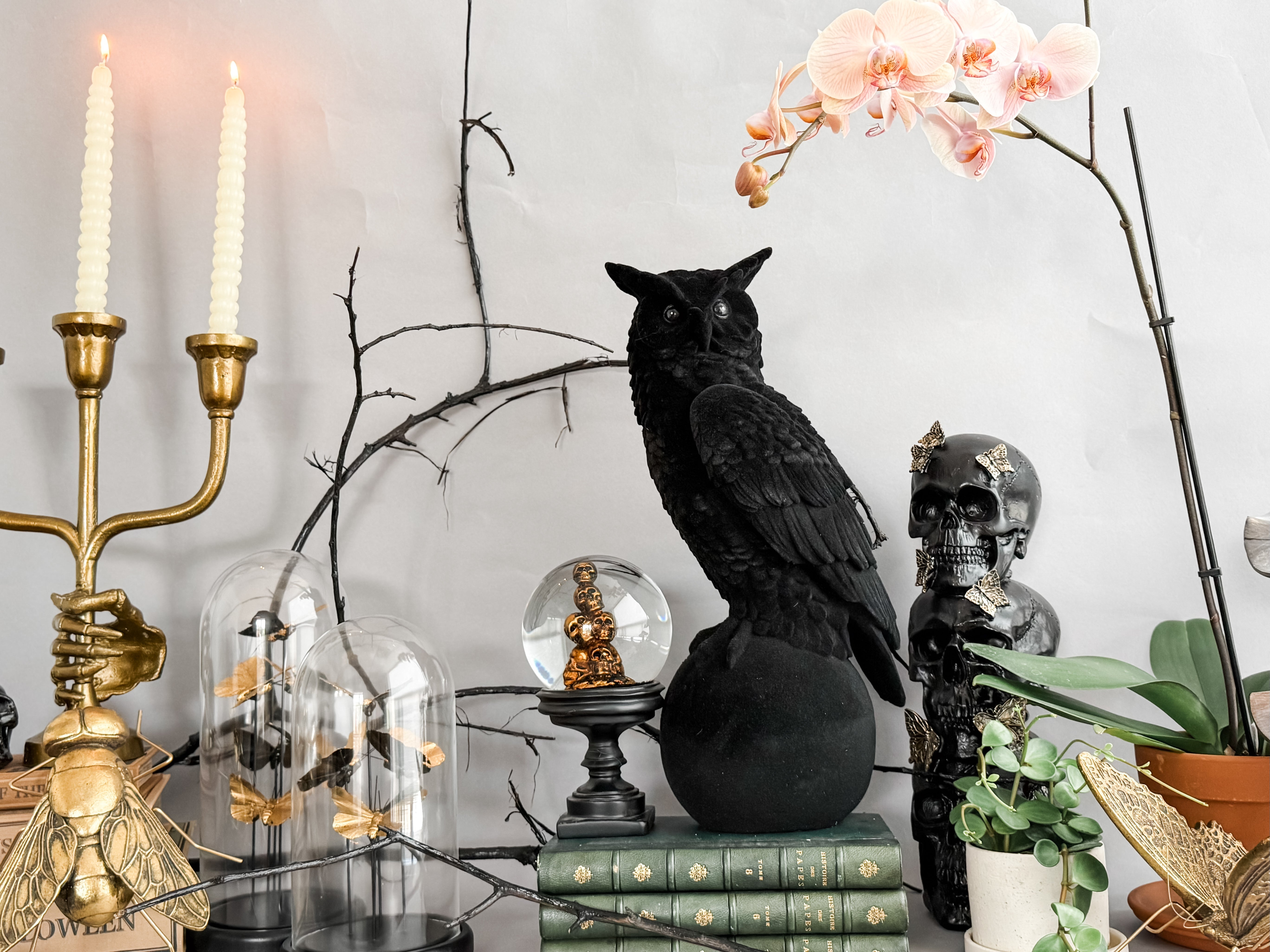 Halloween decor with a botanical theme