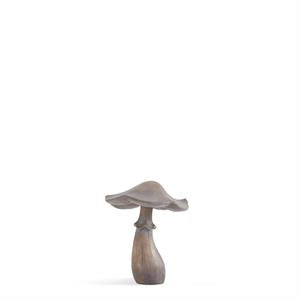 Grey Washed Brown Mushroom