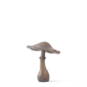 Grey Washed Brown Mushroom