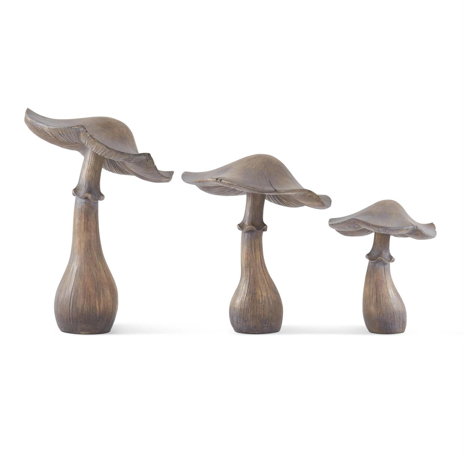 Grey Washed Brown Mushroom