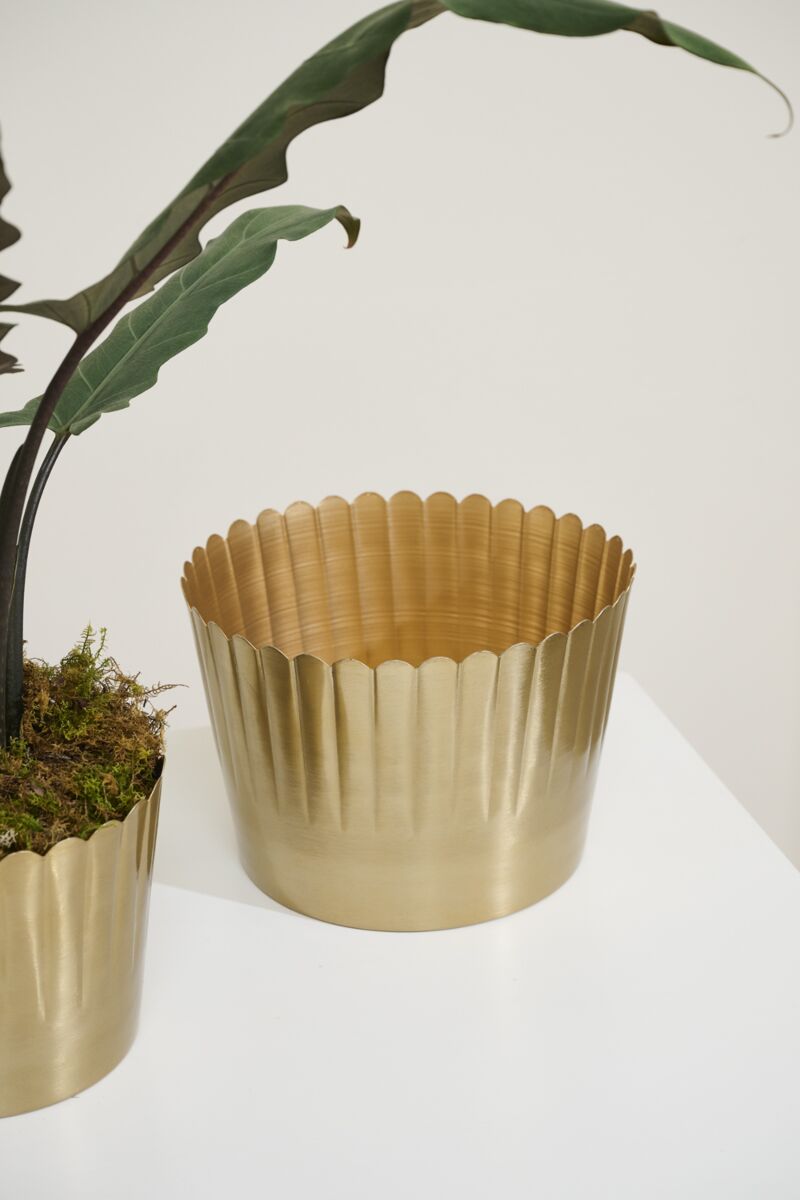 Delicata Pot