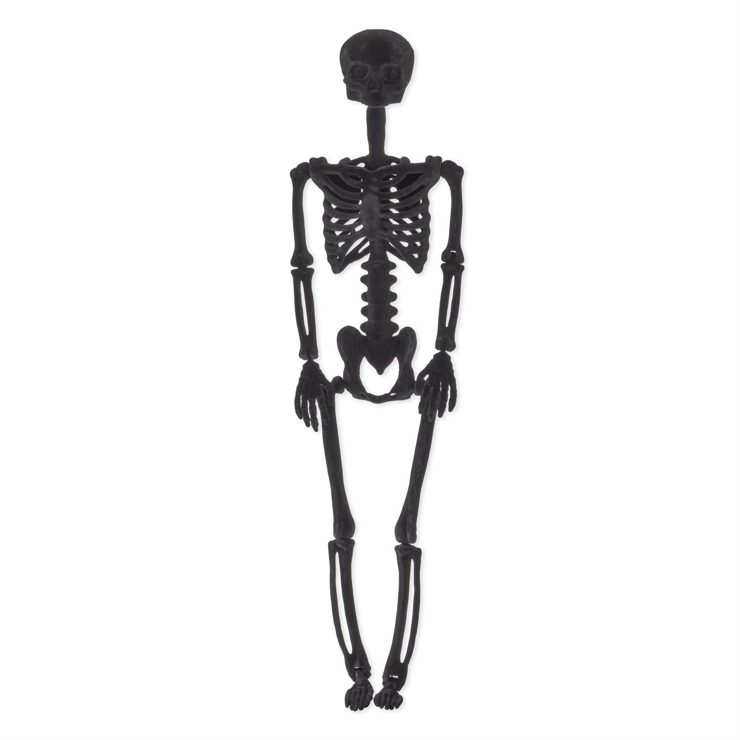 Posable Skeleton