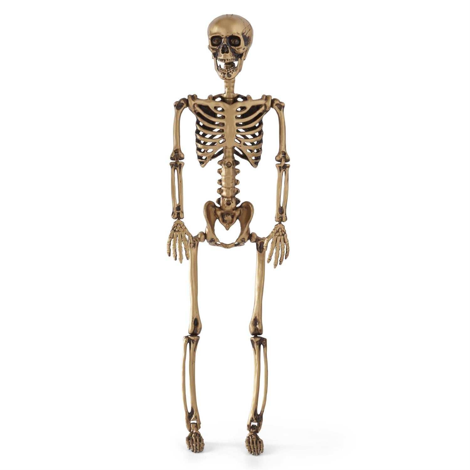 Posable Skeleton