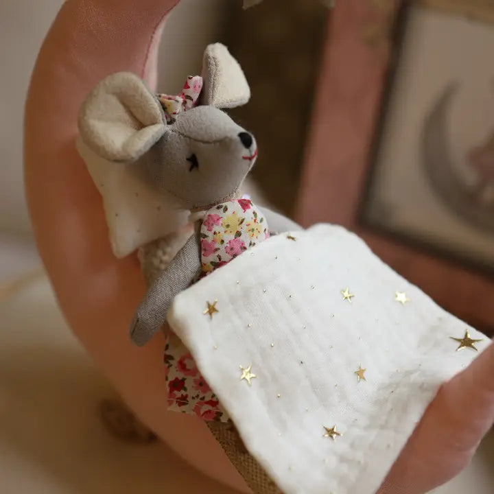 Levlovs Mouse and the Moon Sweet Dreams Mouse