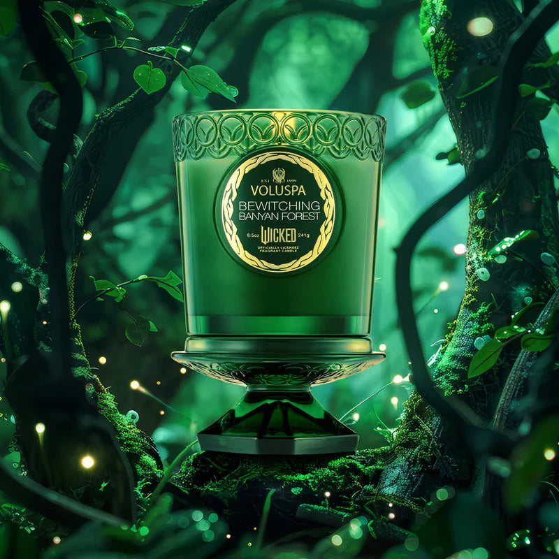 Bewitching Banyan Forest Wicked Candle product shoot.