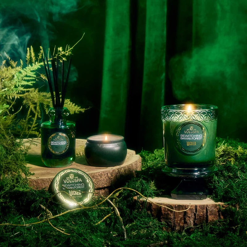 Bewitching Banyan Forest Wicked Candle product shoot.