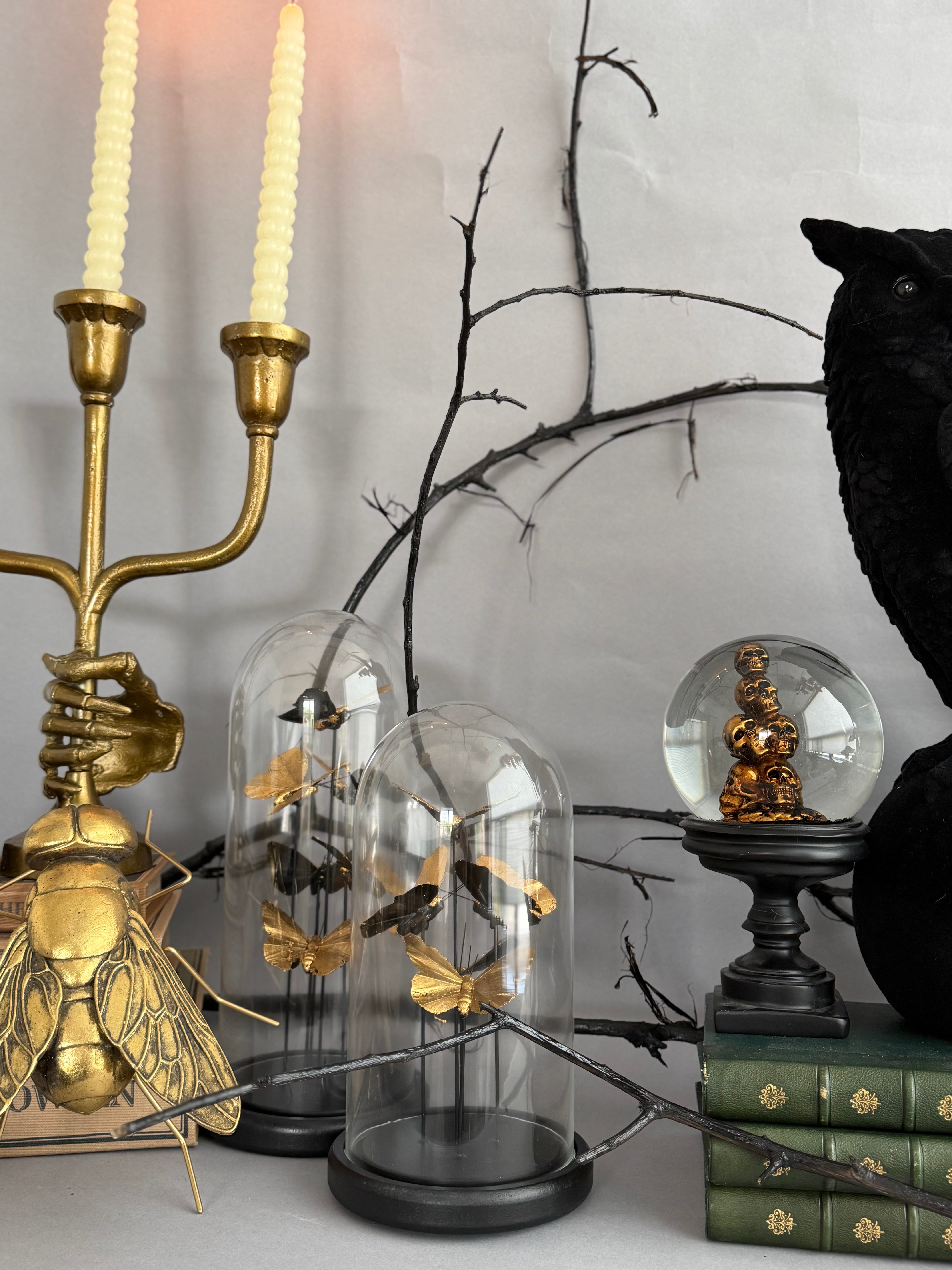Skeleton Collection