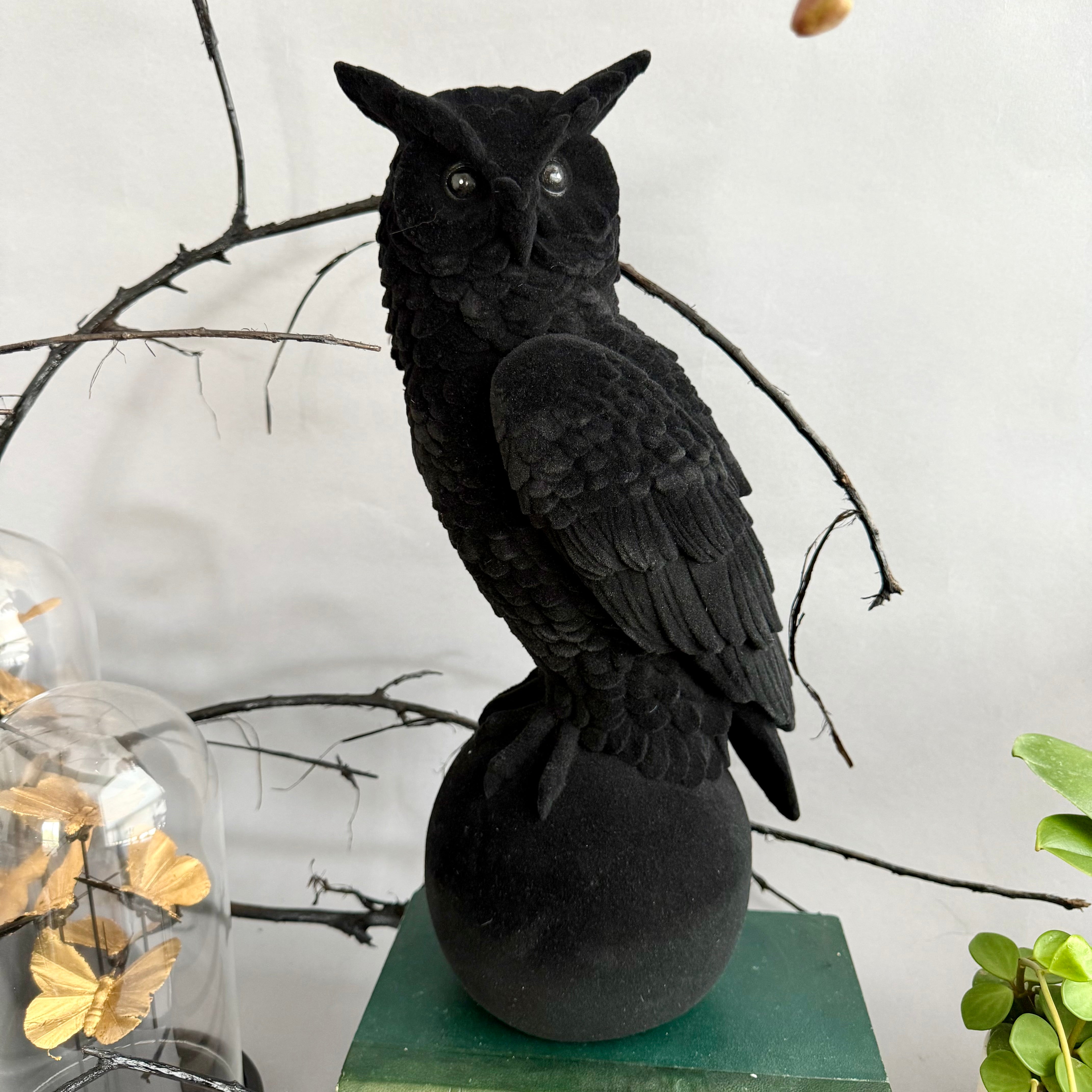 Velvet Flocked Owl