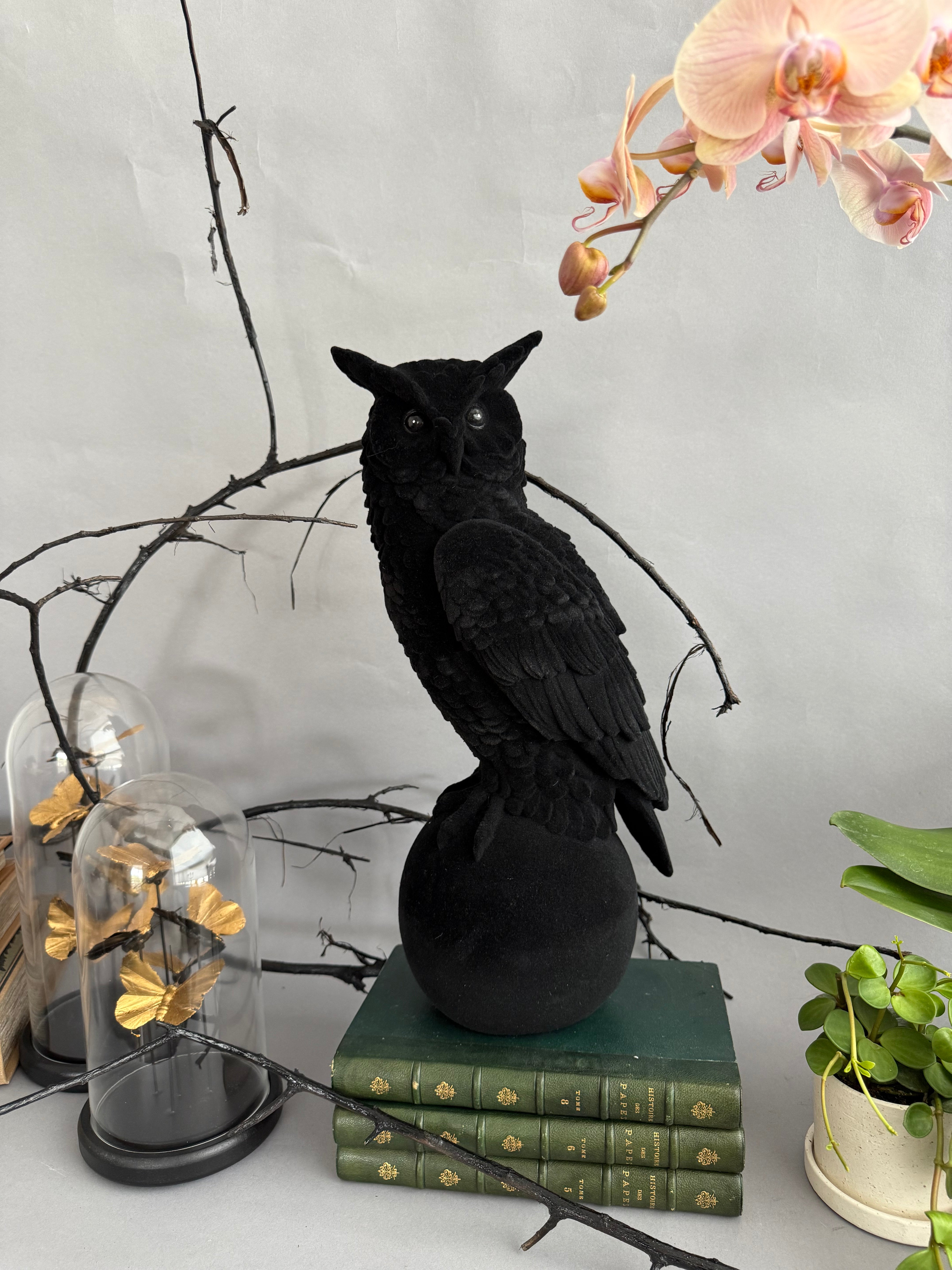 Velvet Flocked Owl