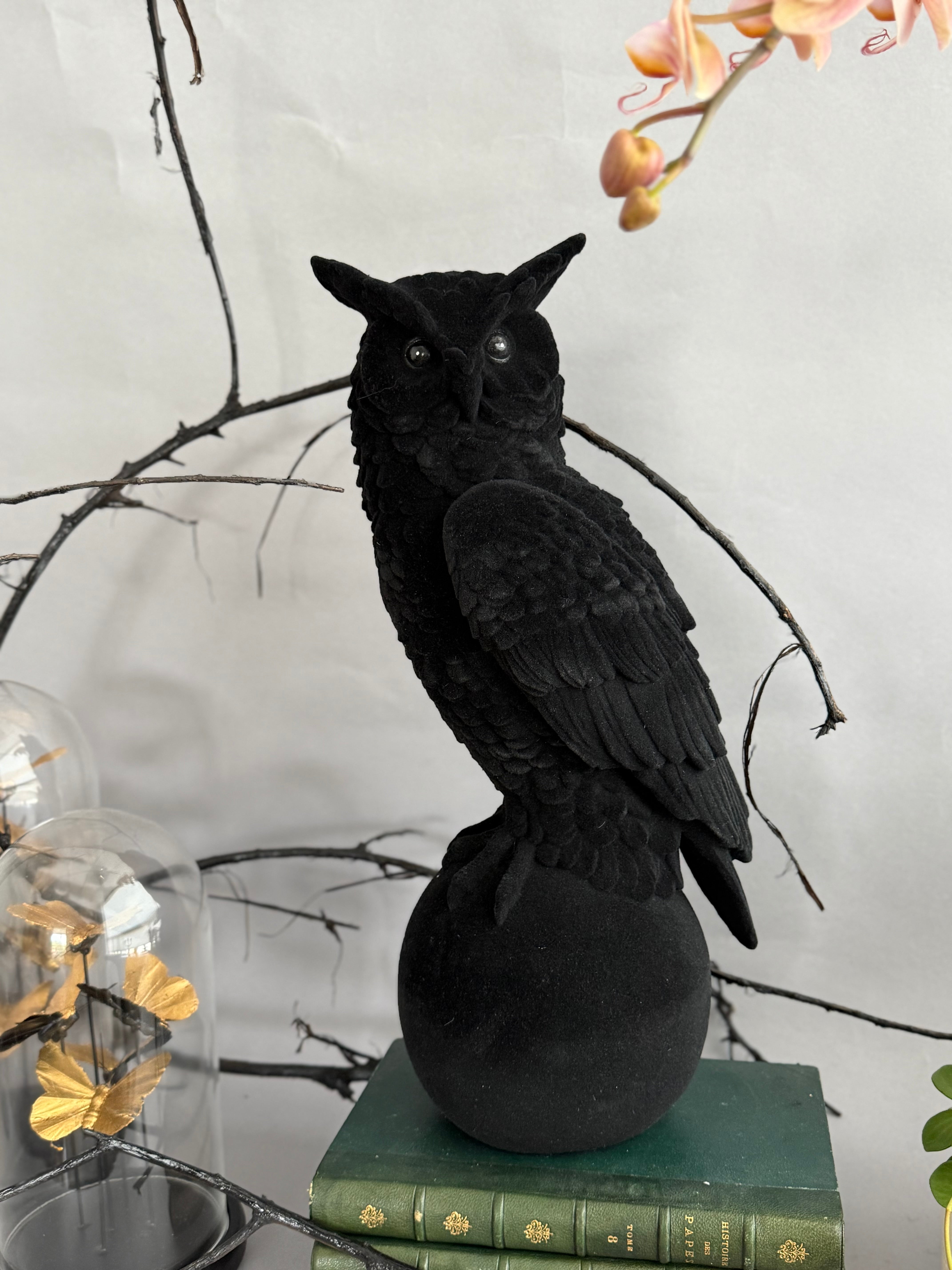 Velvet Flocked Owl