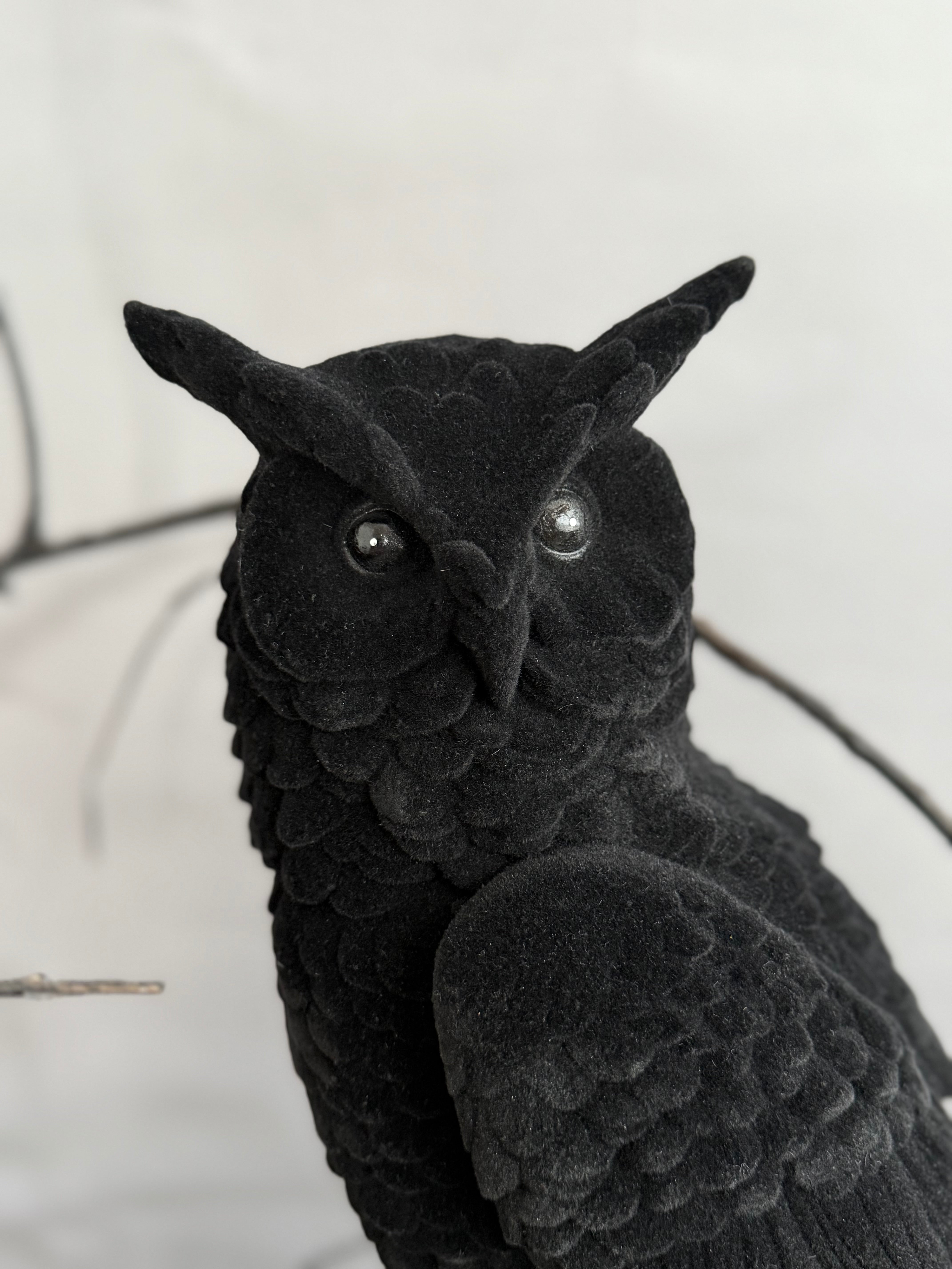Velvet Flocked Owl