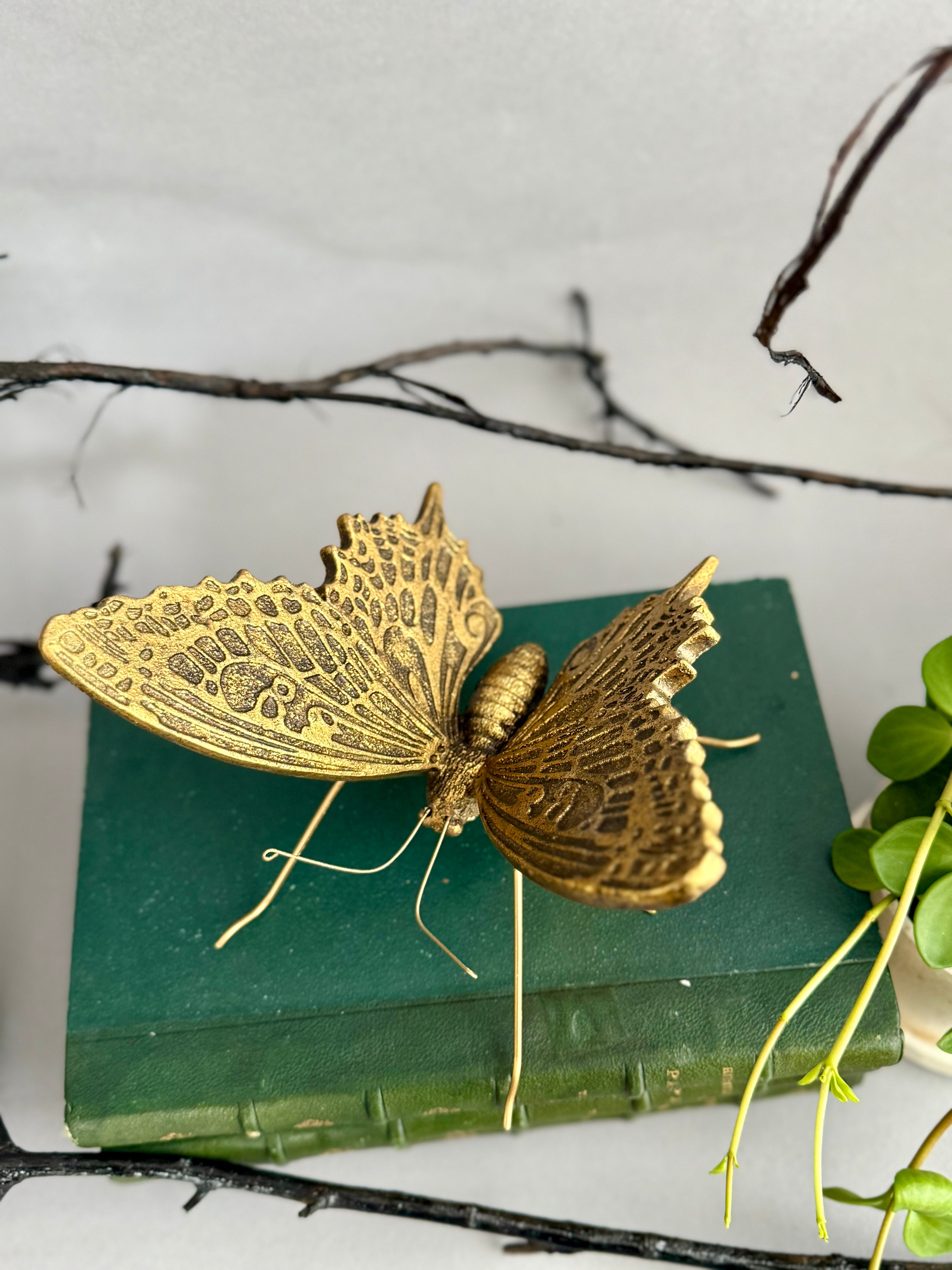 Gold Resin Insect