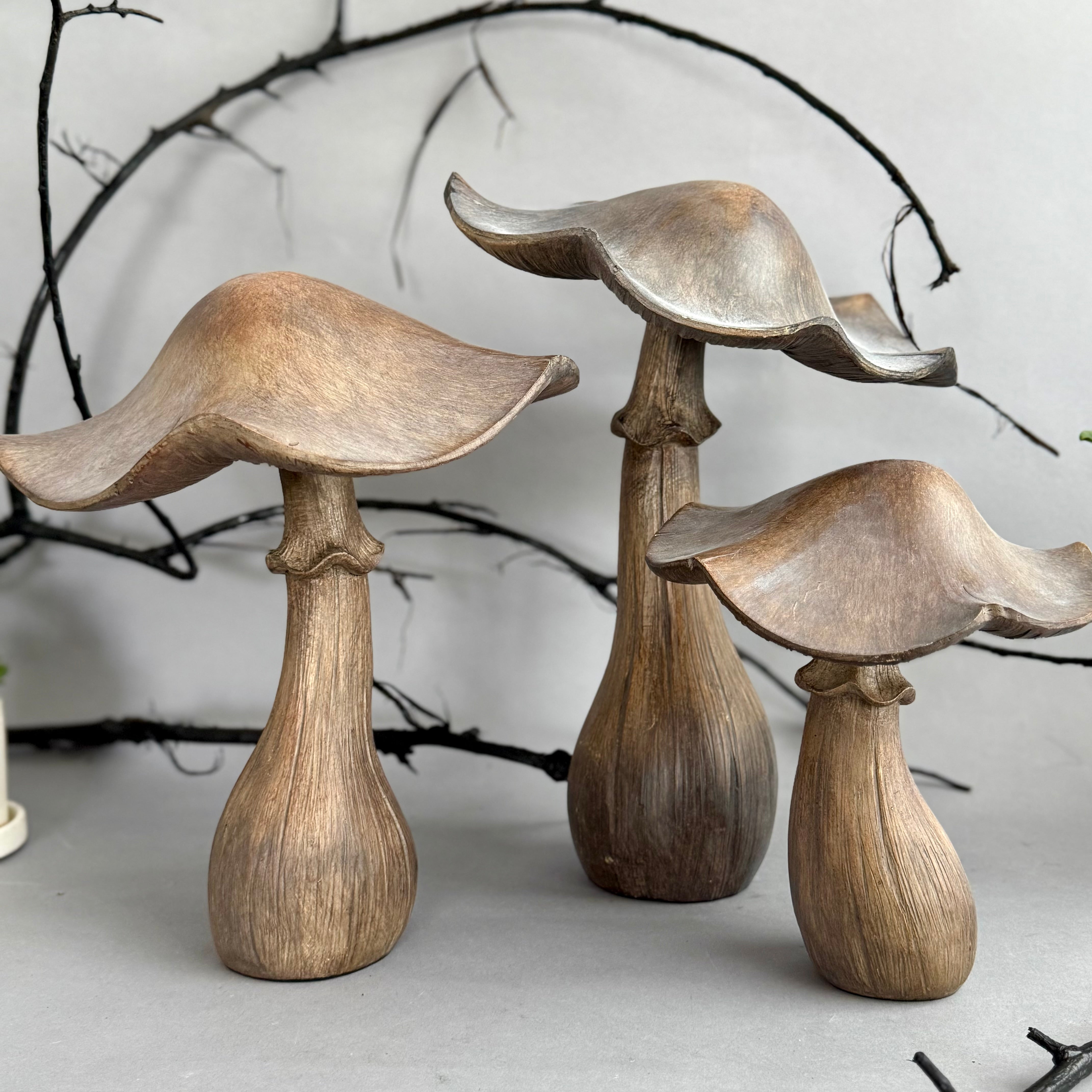 Grey Washed Brown Mushroom