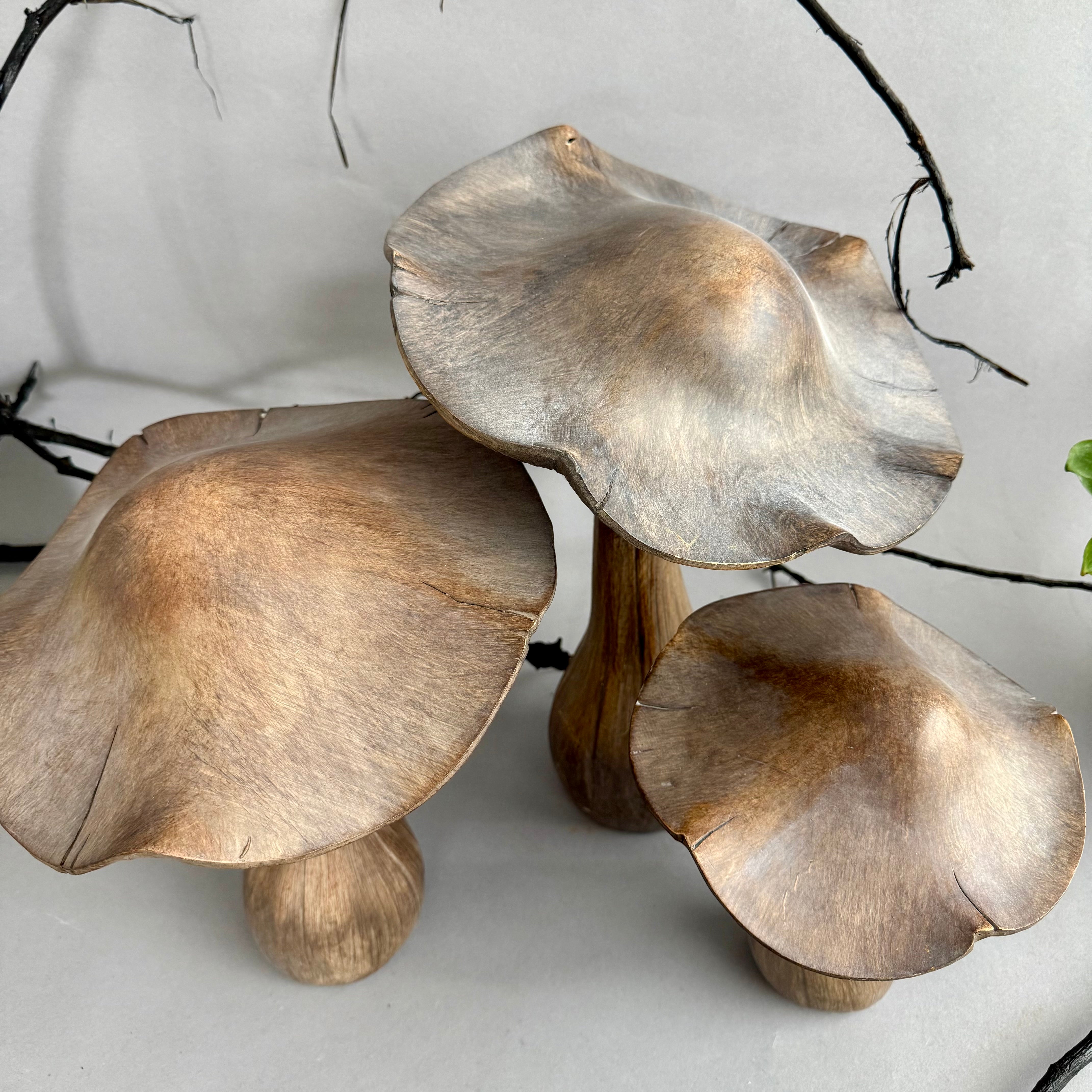 Grey Washed Brown Mushroom