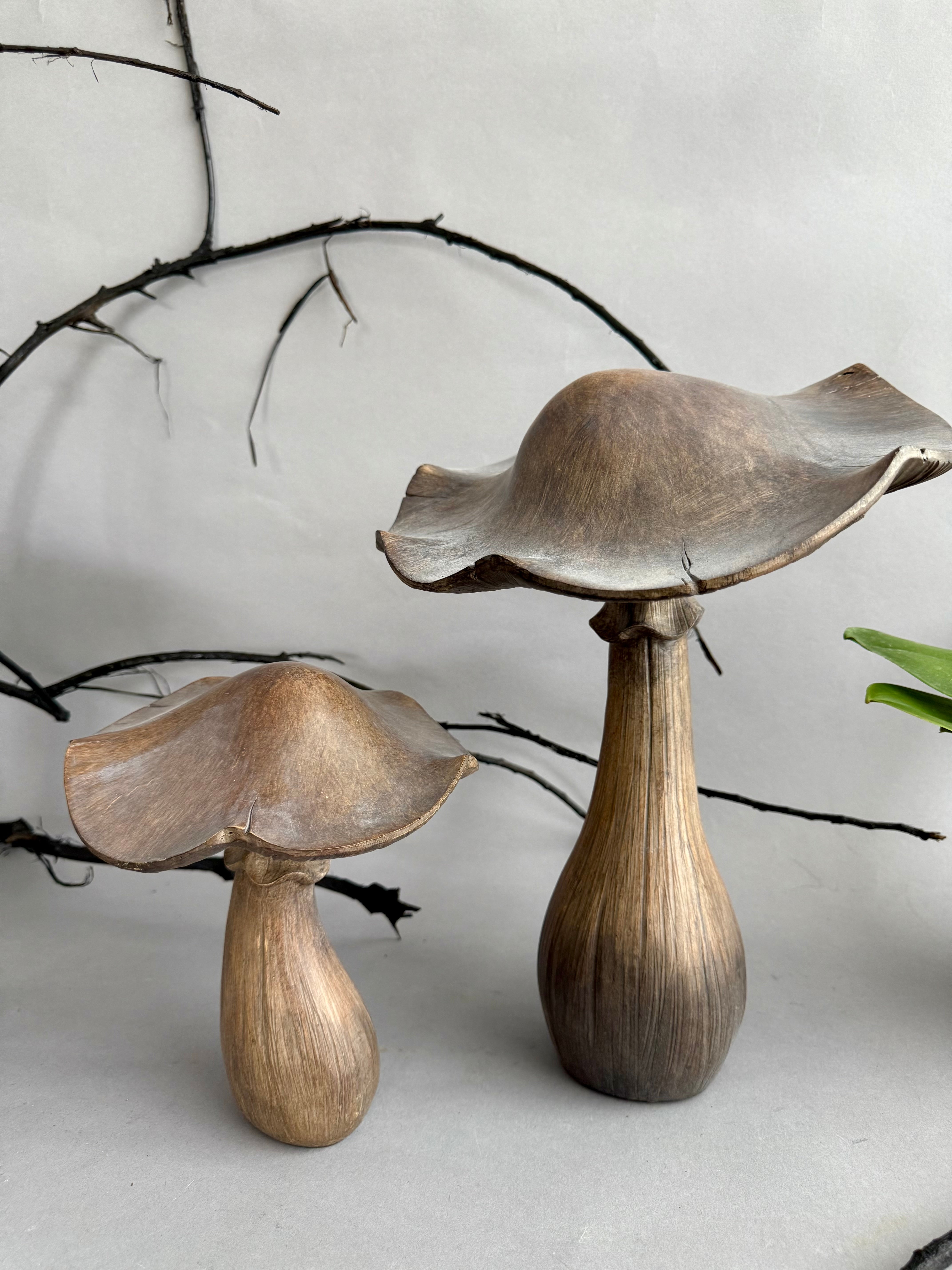 Grey Washed Brown Mushroom