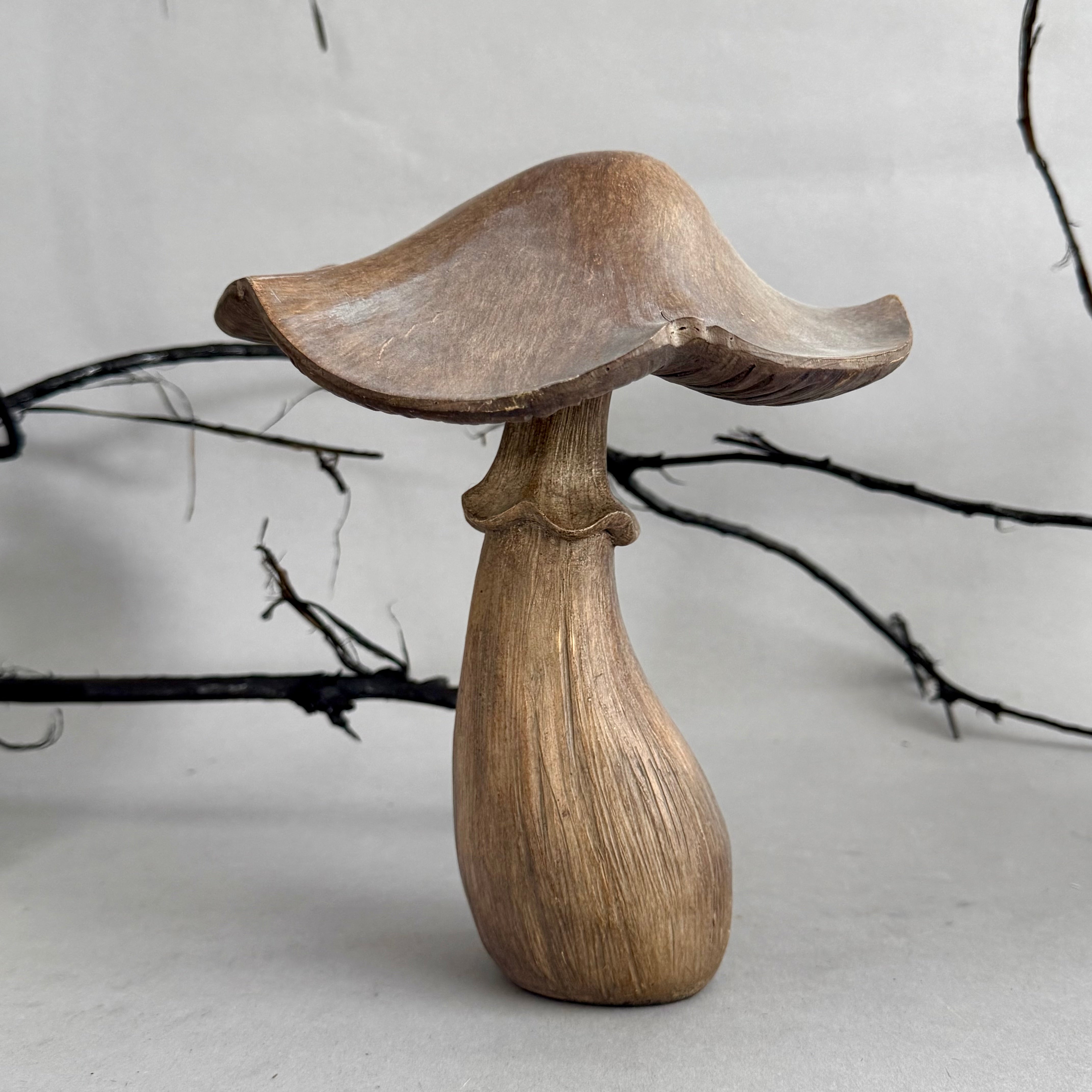 Grey Washed Brown Mushroom