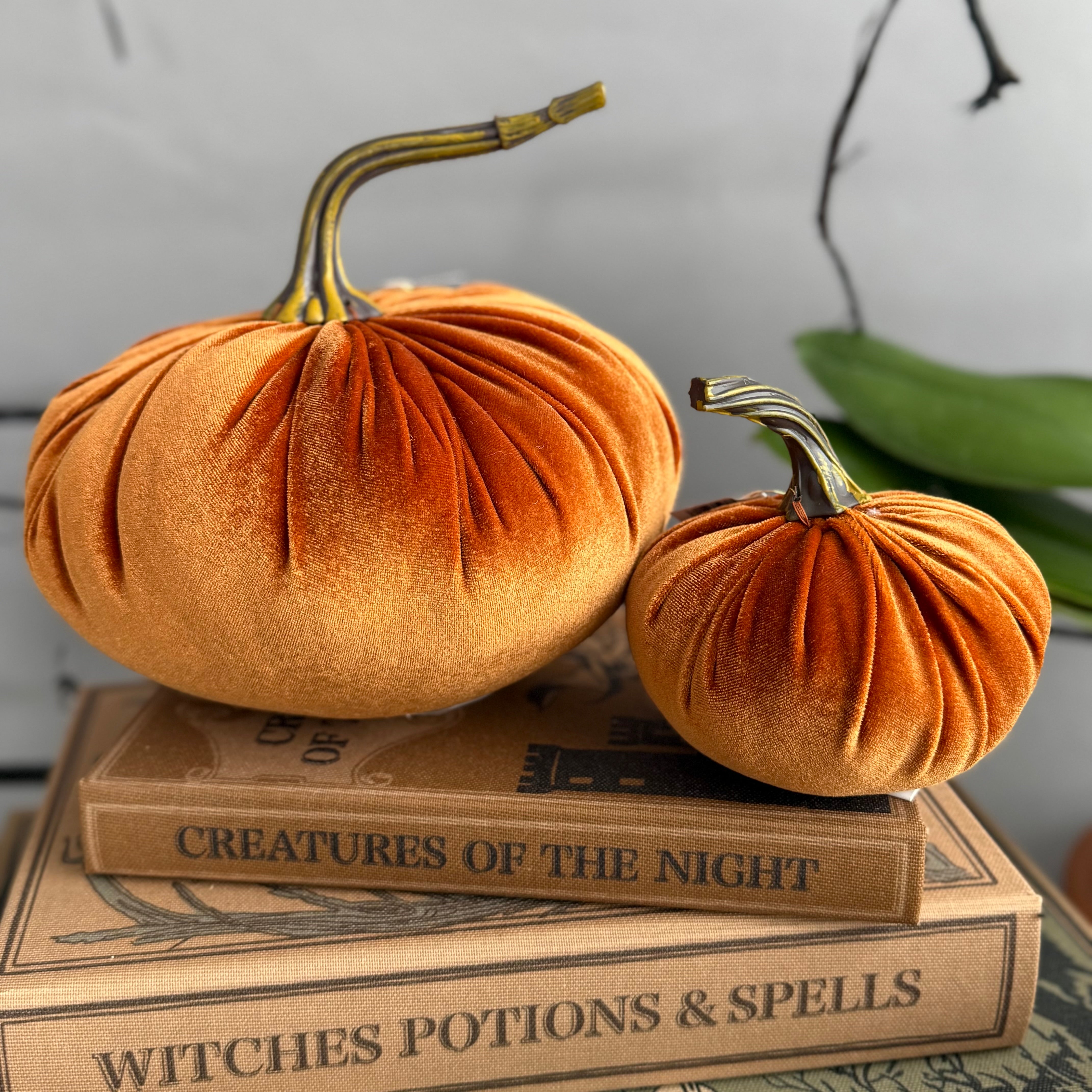 Velvet Stuffed Pumpkin