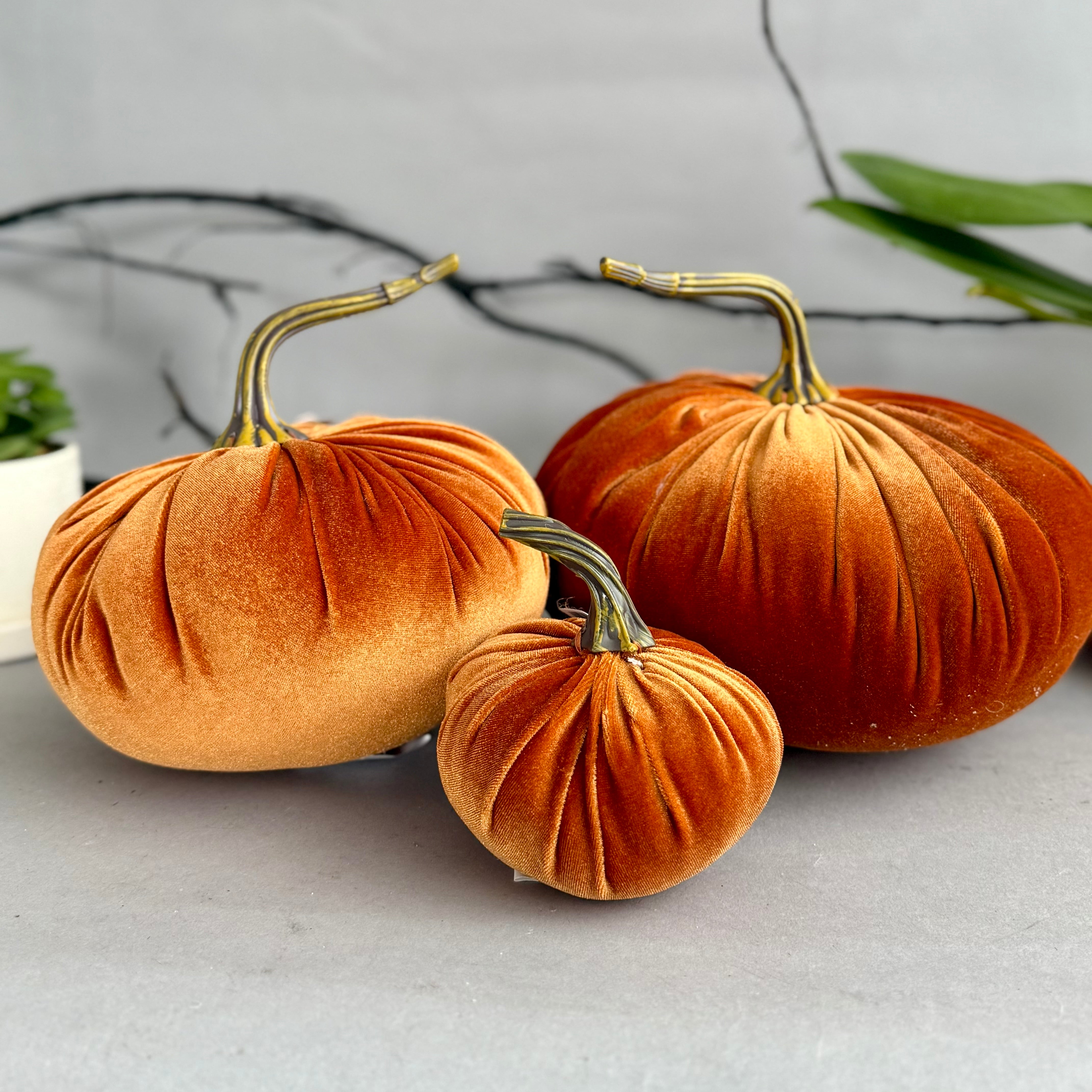 Velvet Stuffed Pumpkin