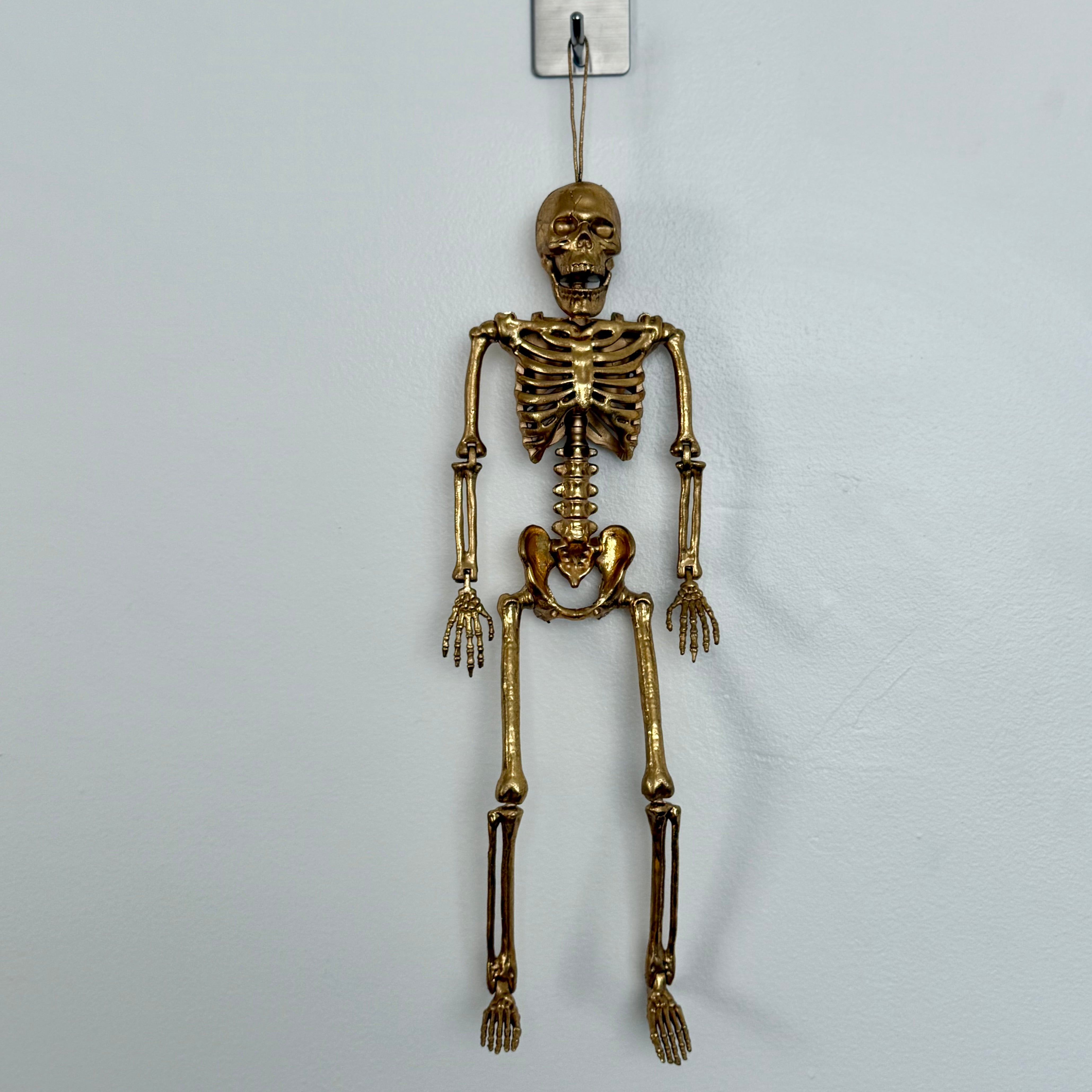 Gold skeleton hanging on a white background