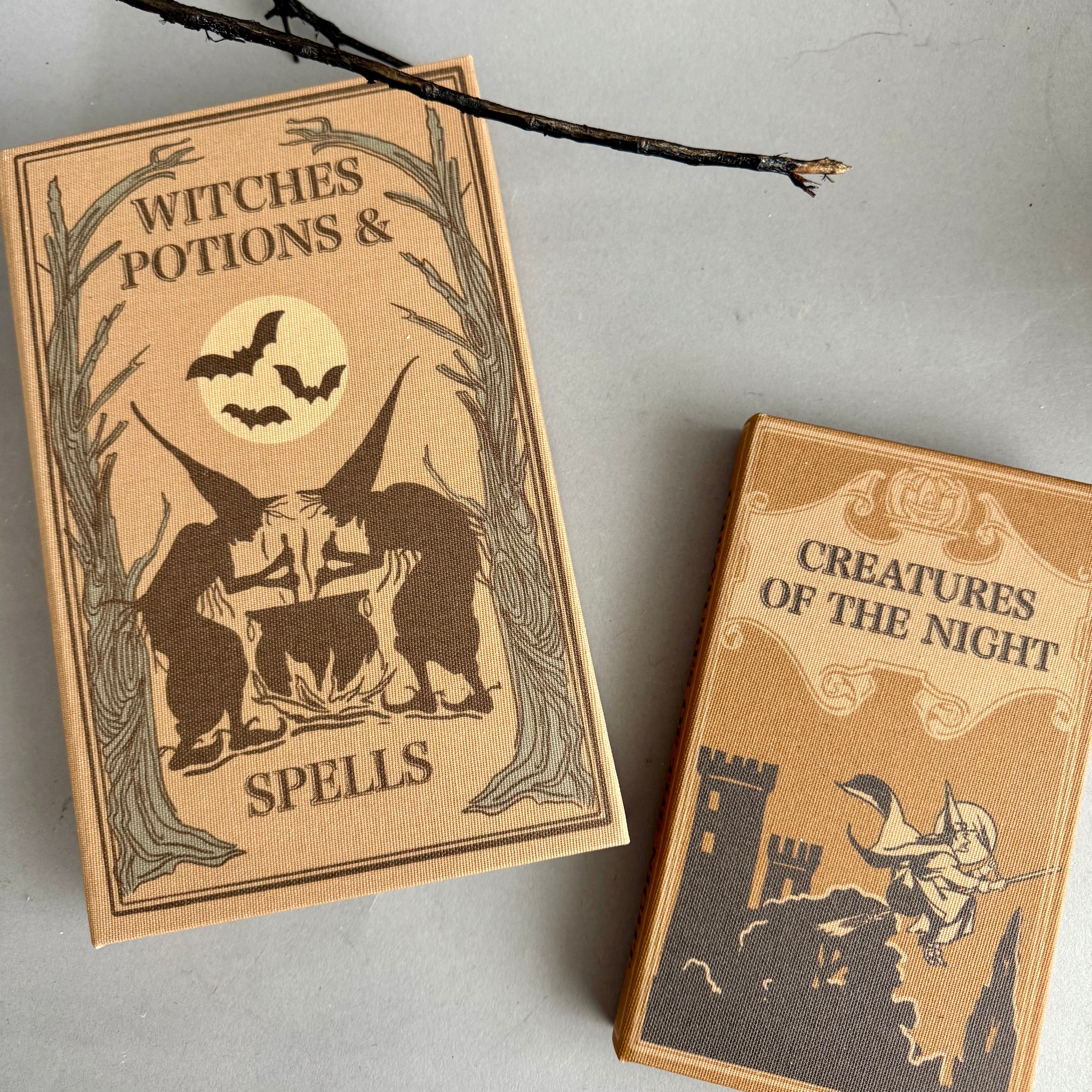 Halloween Book Storage Box Set