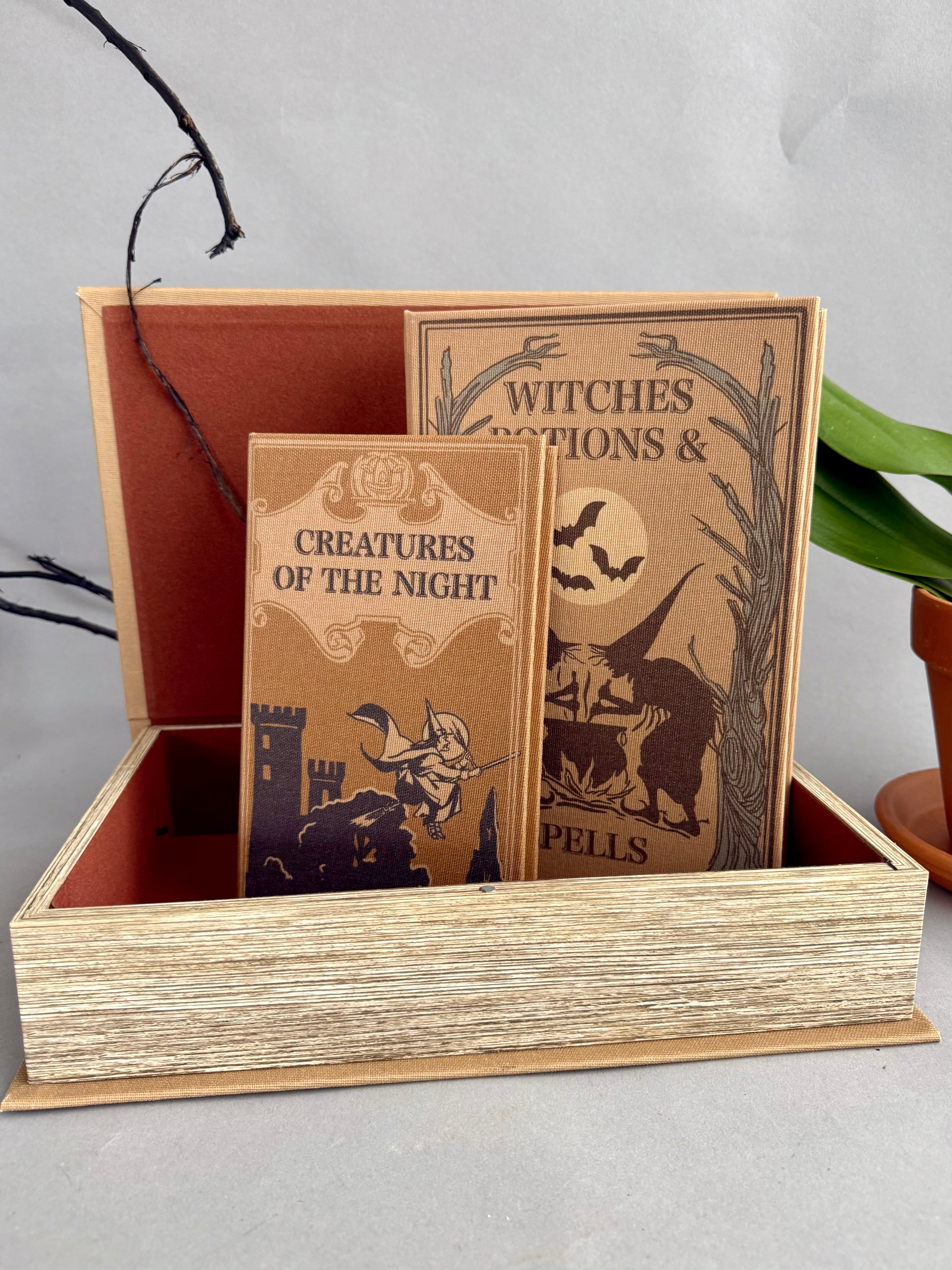 Halloween Book Storage Box Set