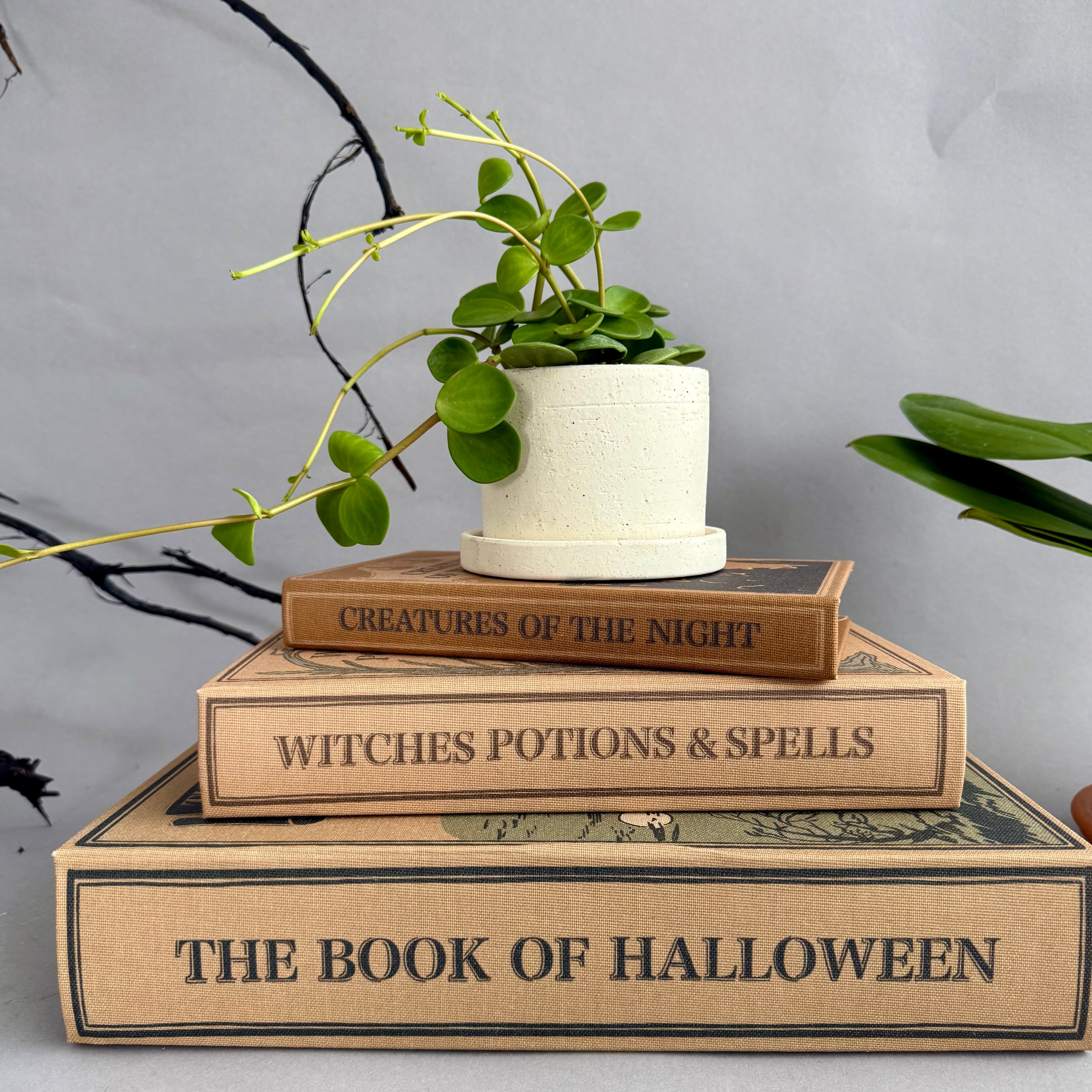 Halloween Book Storage Box Set