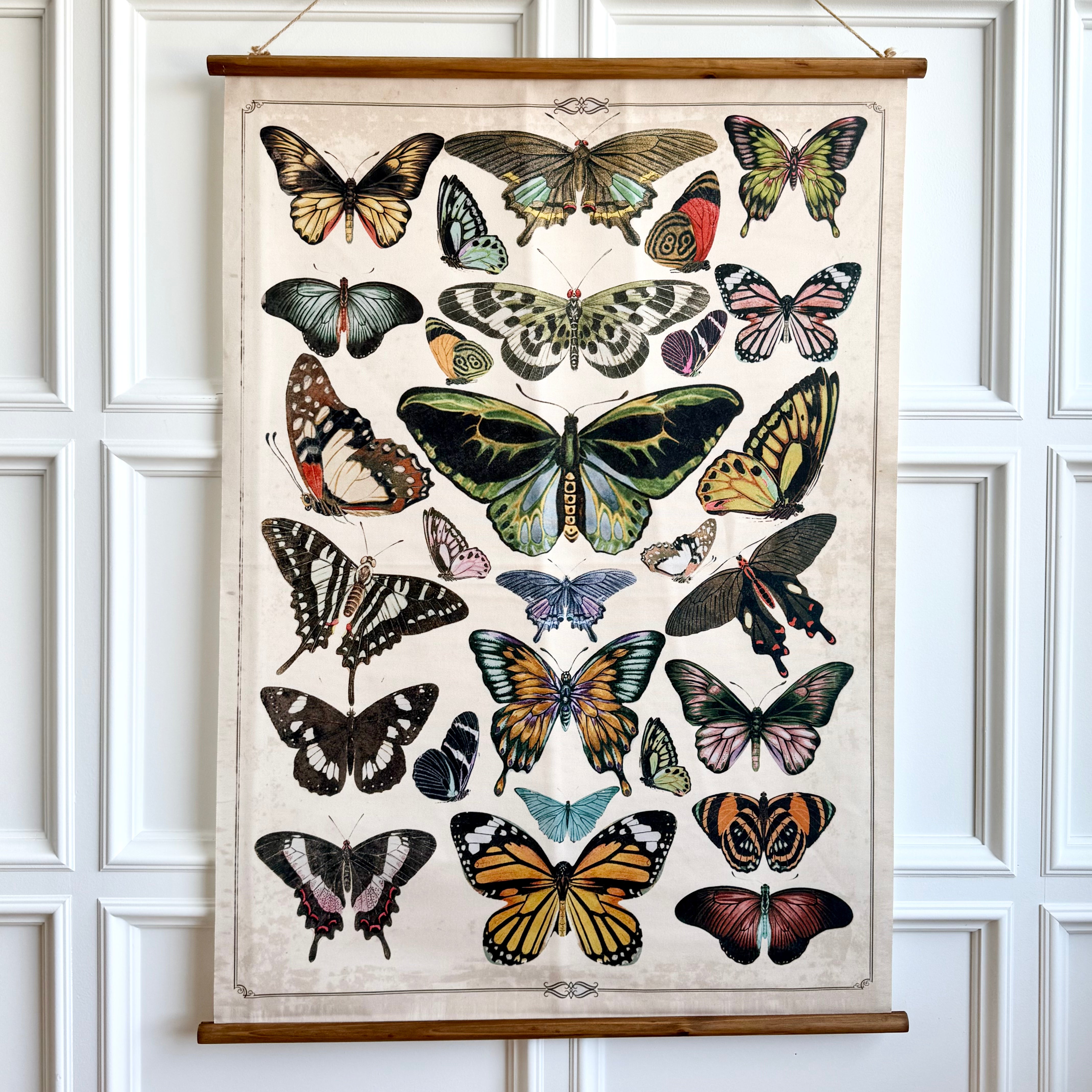 Butterflies Scroll Decor