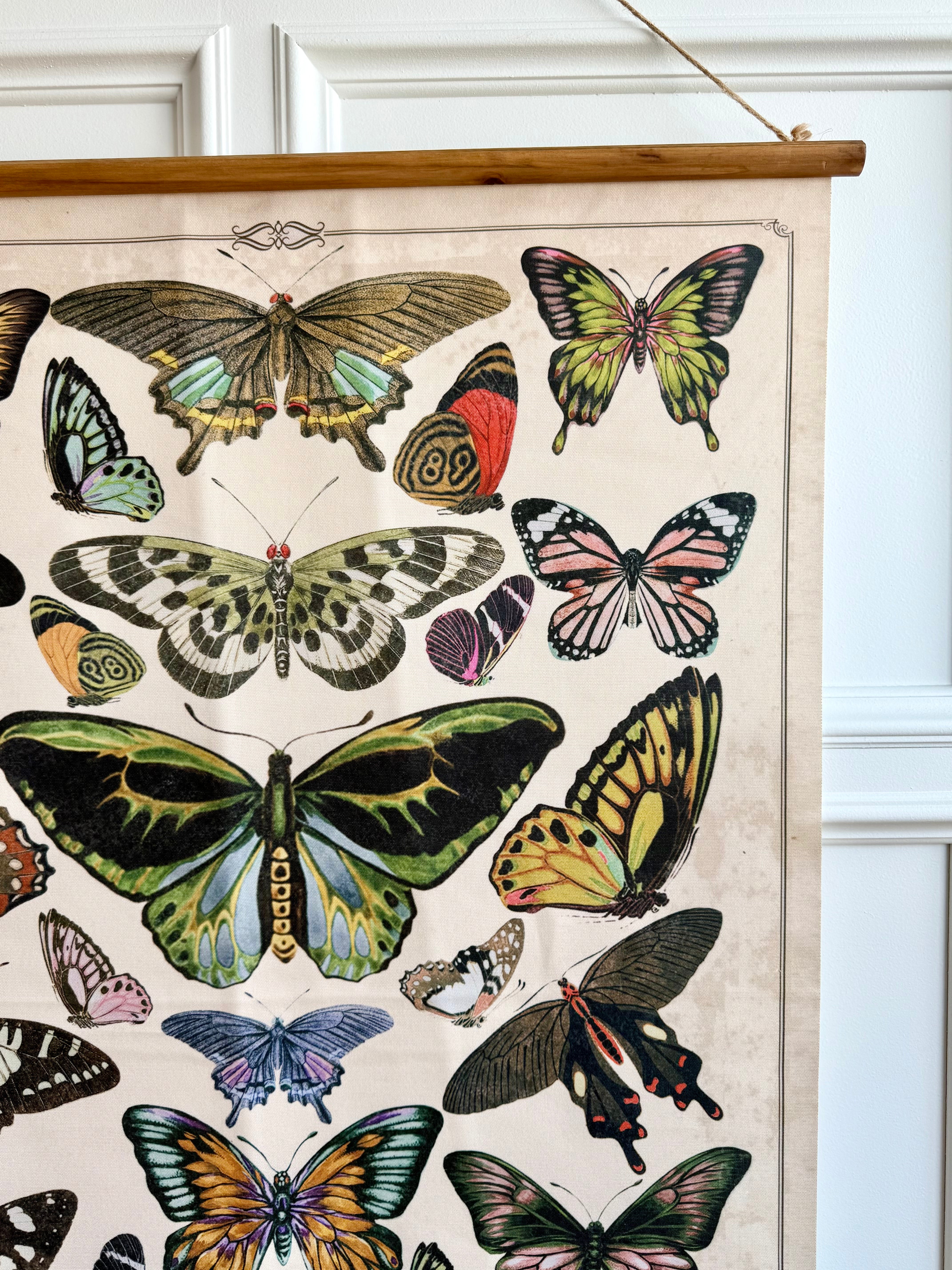 Butterflies Scroll Decor