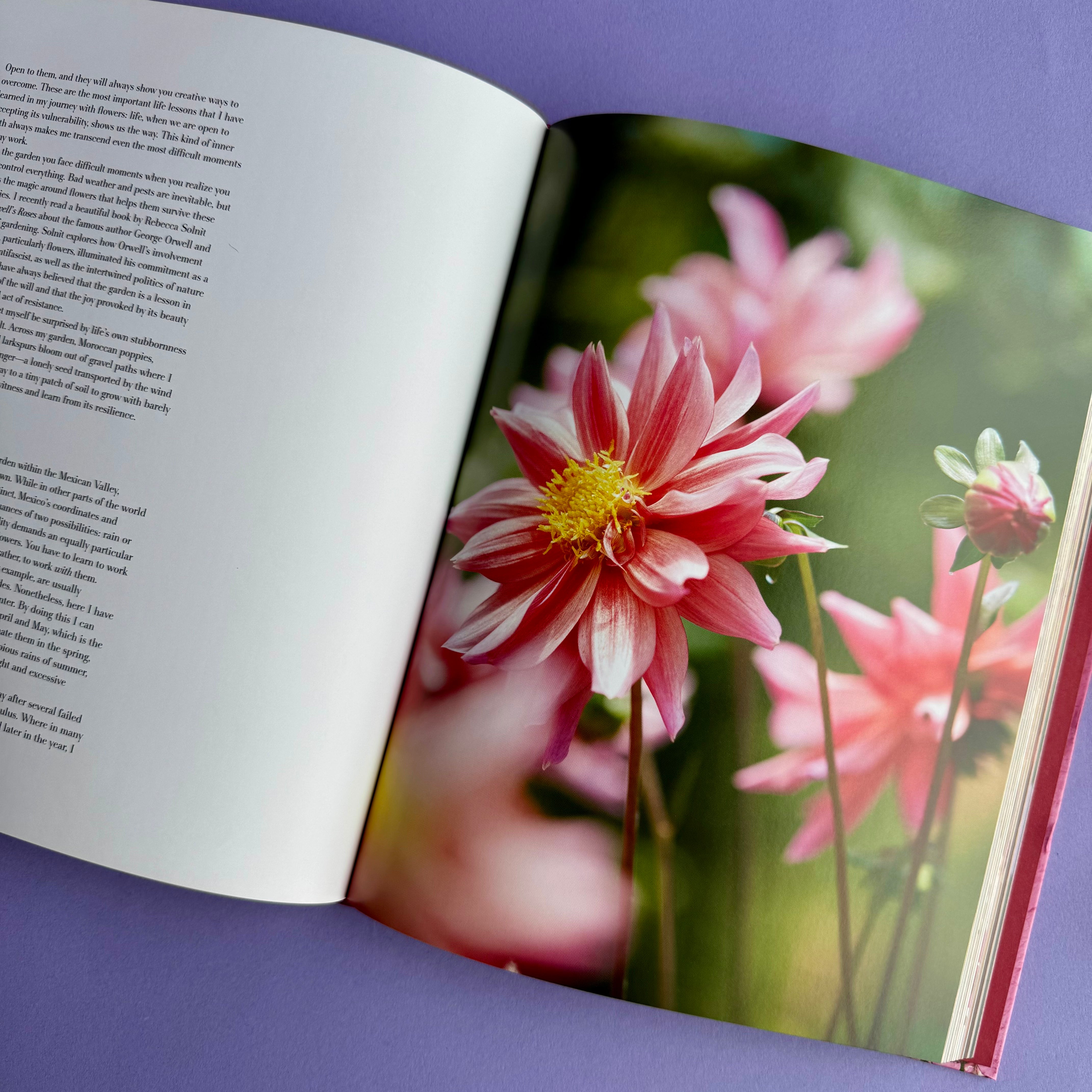 The Artistry of Flowers