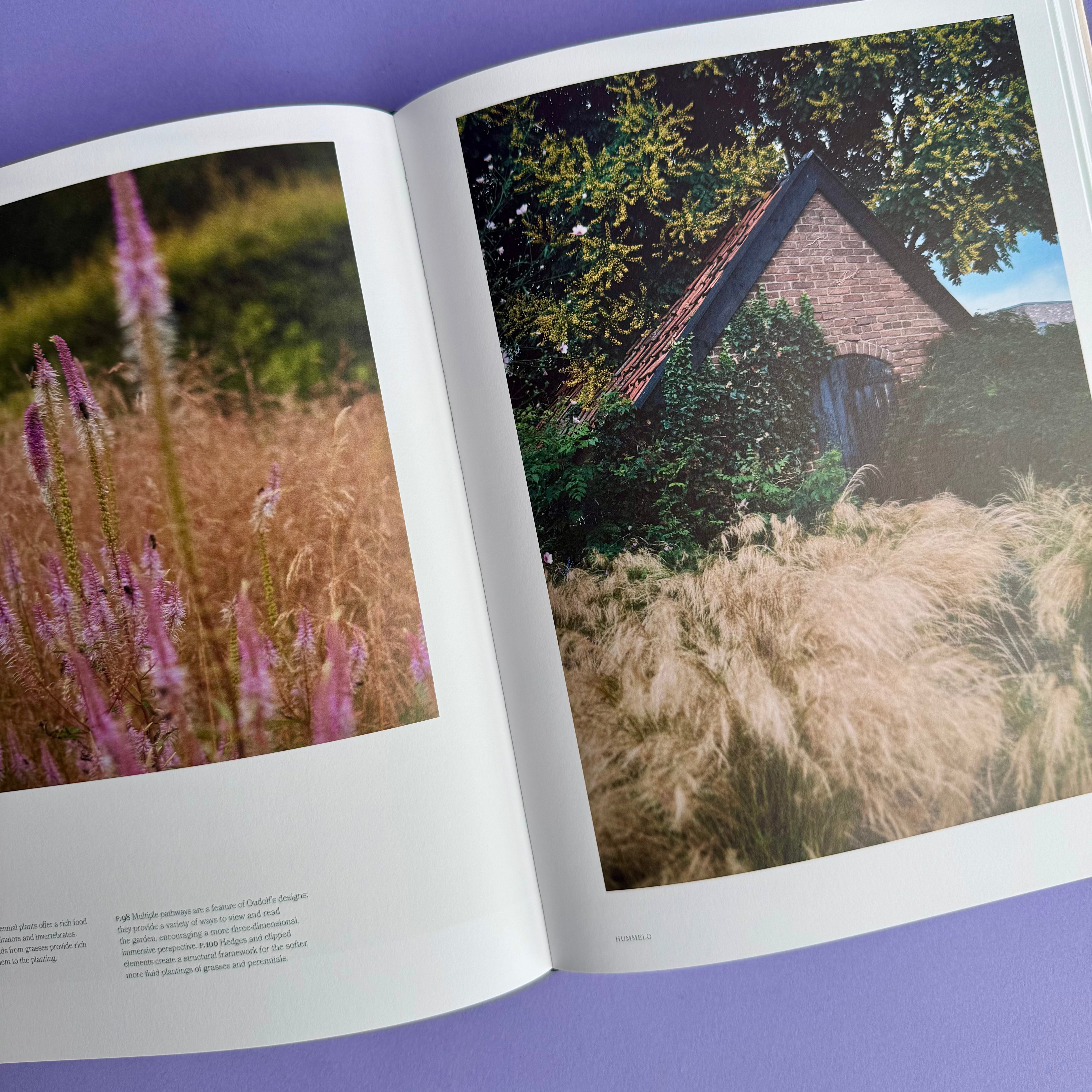 The Avant Gardens