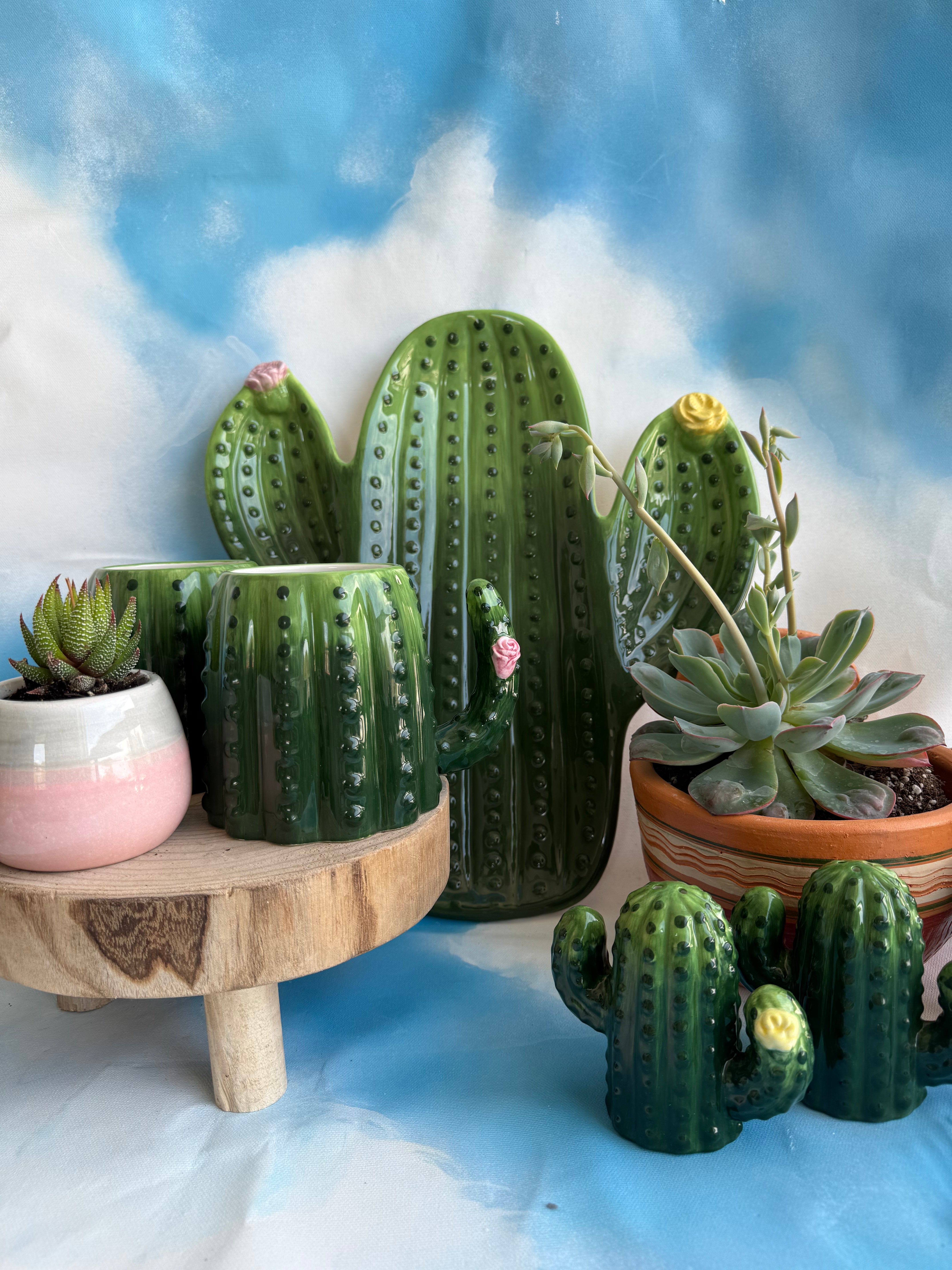 Cactus Verde Chip and Dip