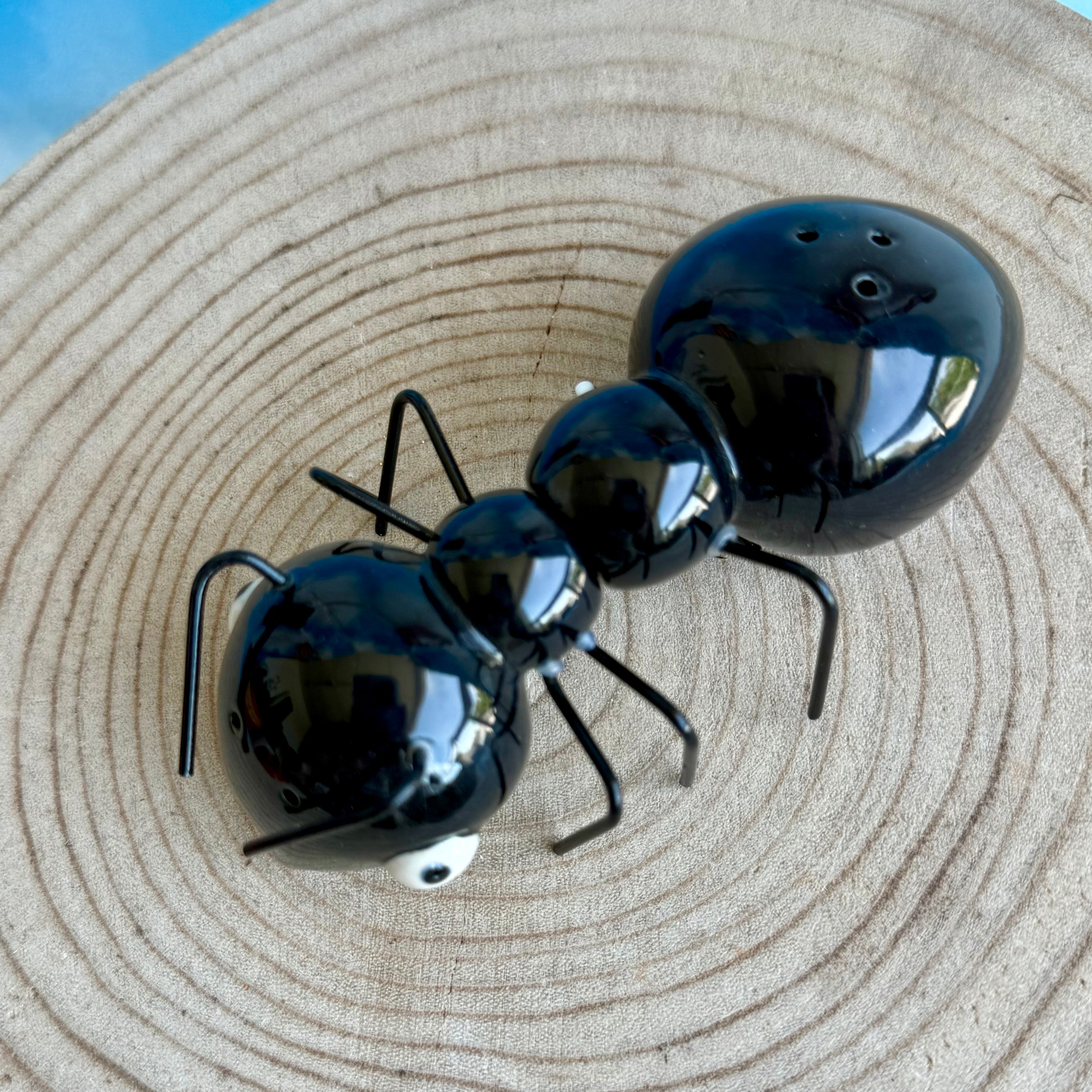Black Ant Salt and Pepper Shaker