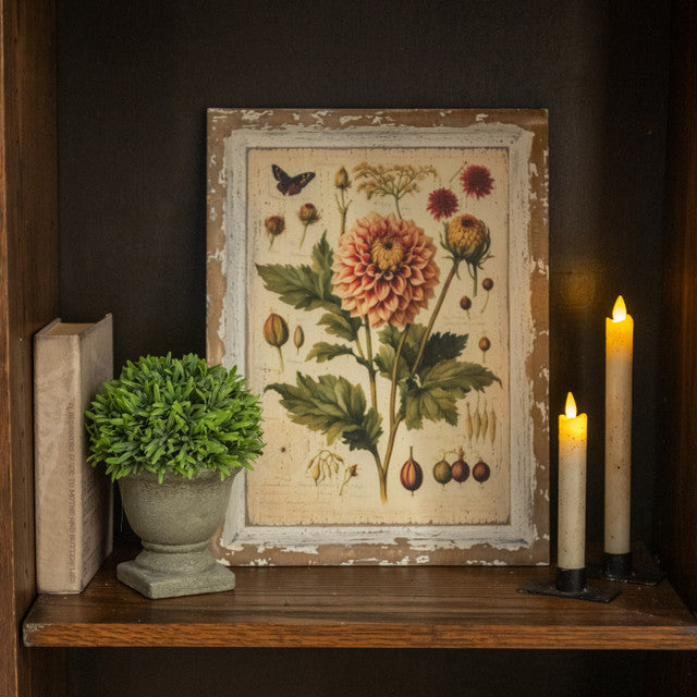 Peach Dahlia Botanical Print