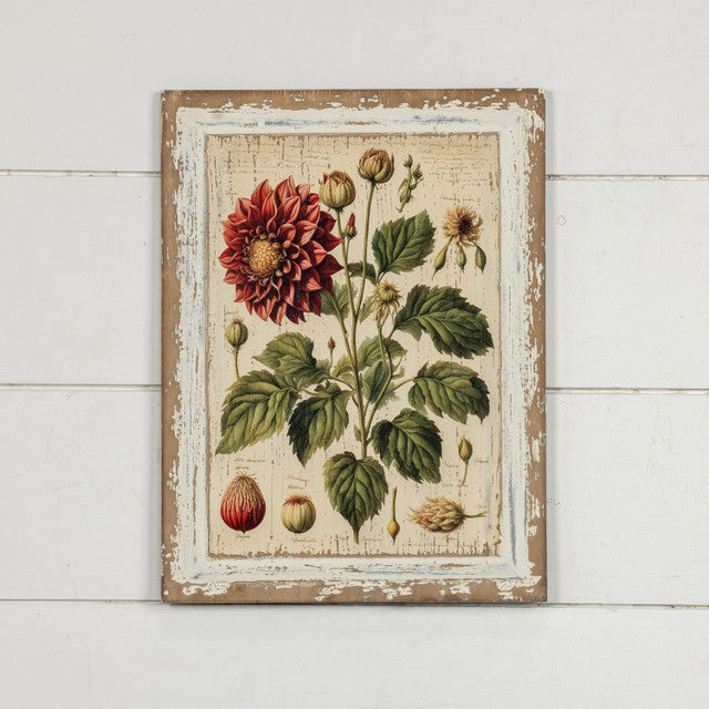 Pink Dahlia Botanical Print