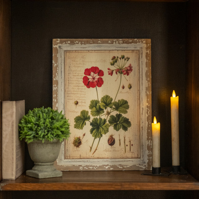Pink Geranium Botanical Print