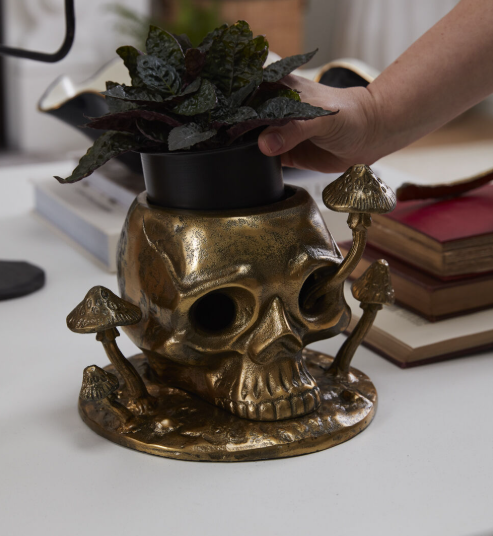 Cranium Pot