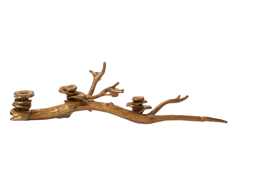 Oyster Mushroom Candleholder