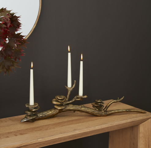 Oyster Mushroom Candleholder