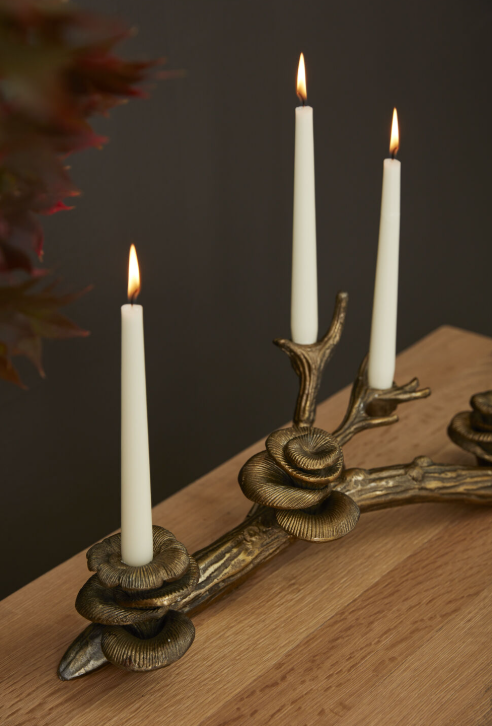 Oyster Mushroom Candleholder