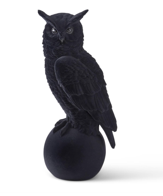 Velvet Flocked Owl