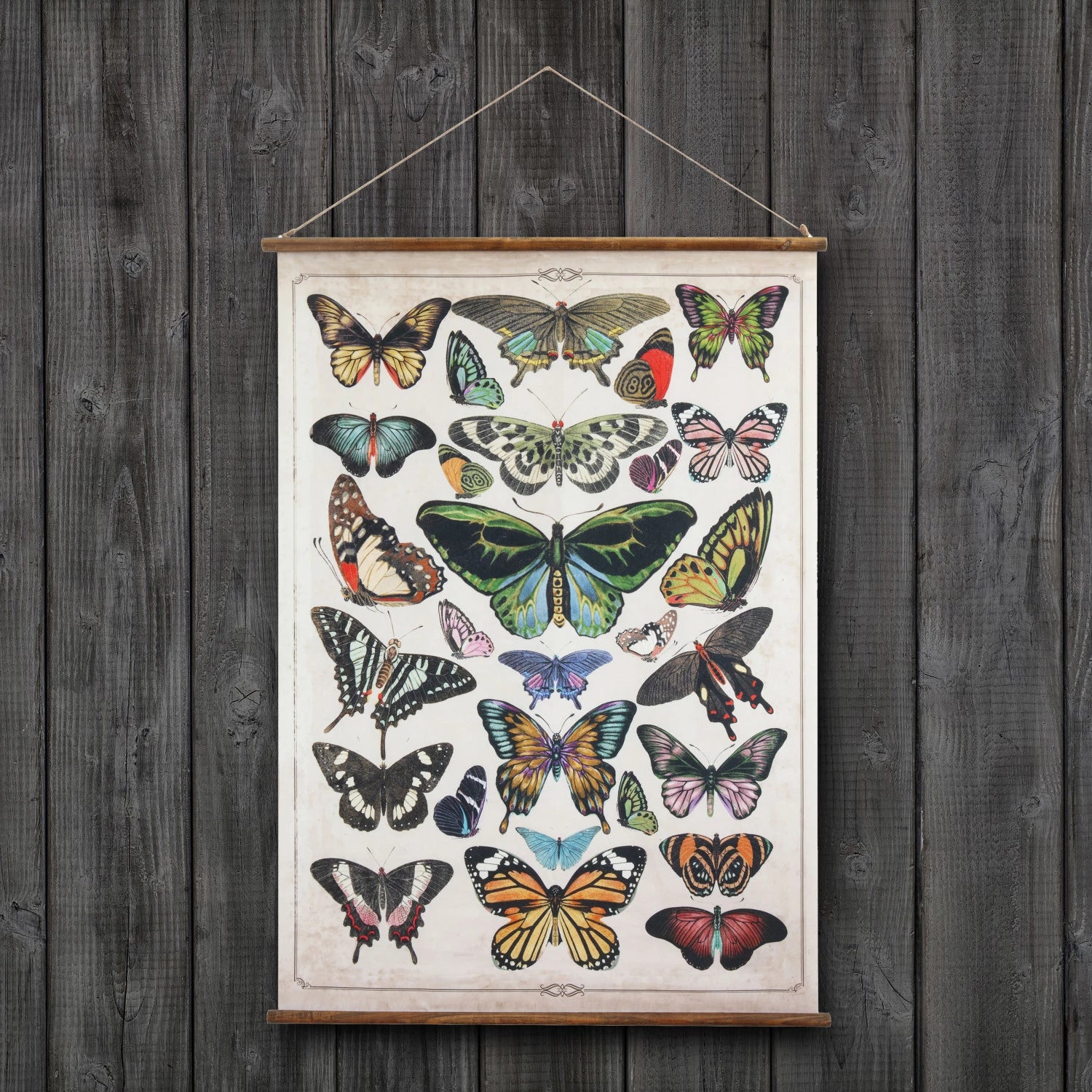 Butterflies Scroll Decor