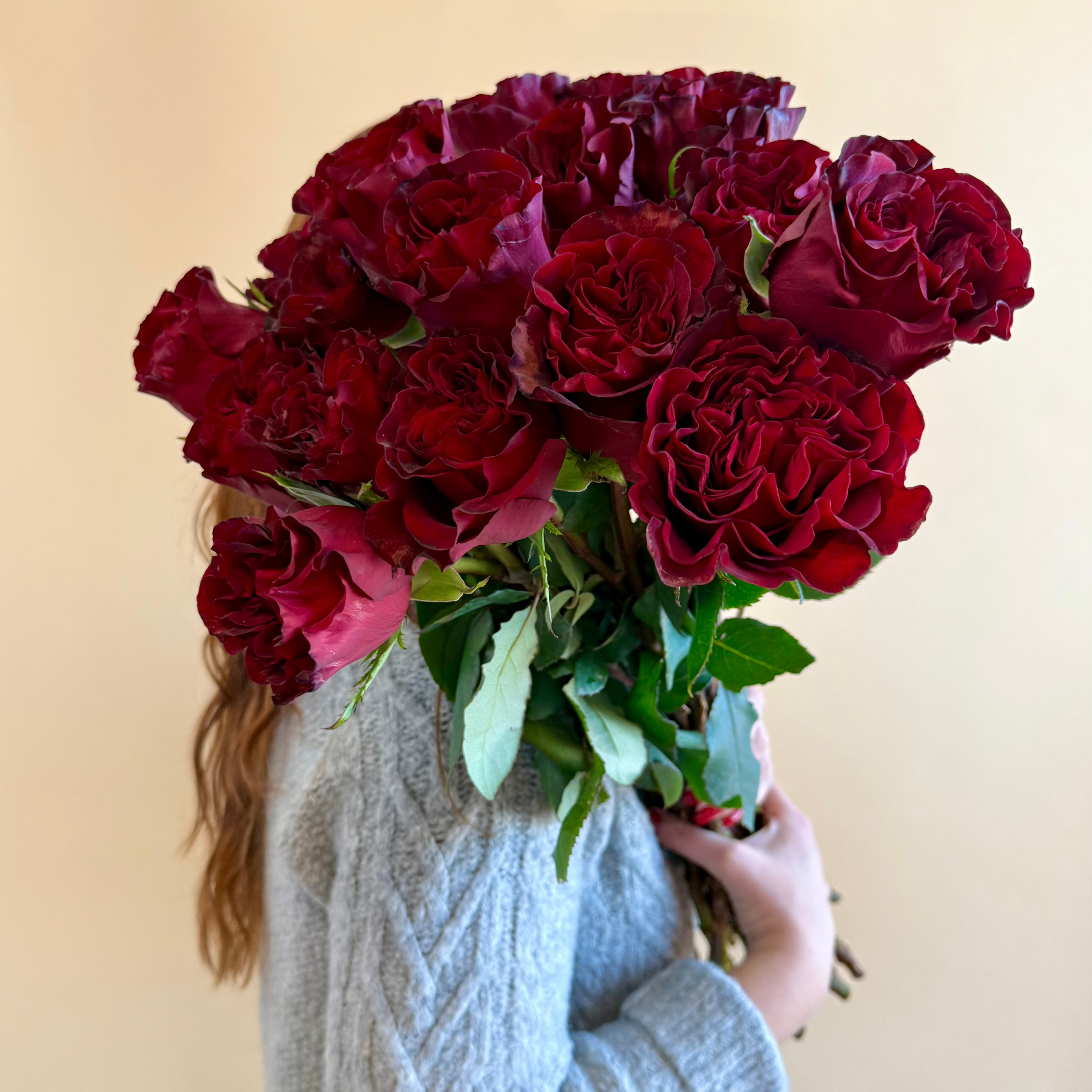 Product shoot of dozen scarlet red roses