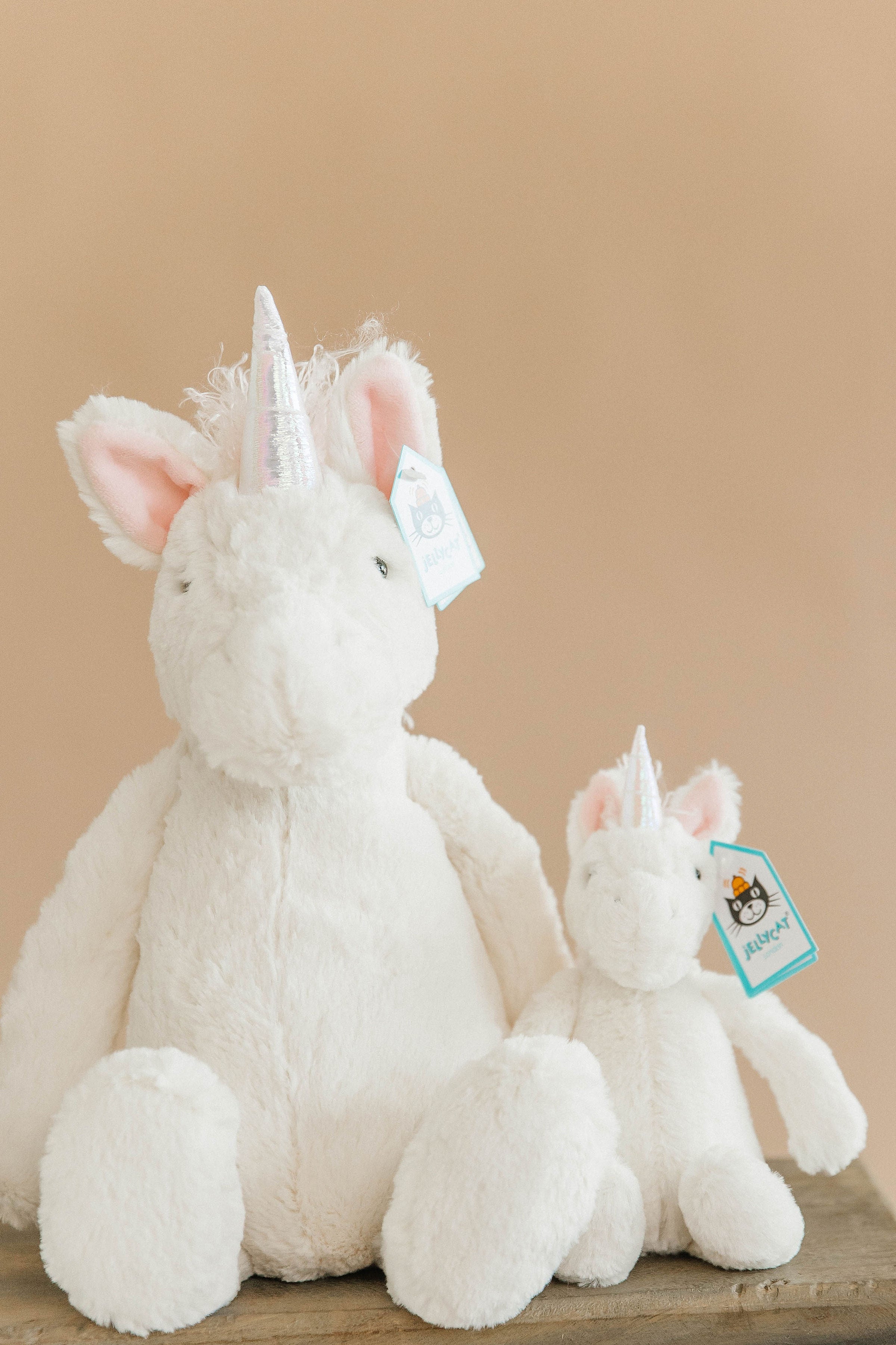 Bashful Unicorn