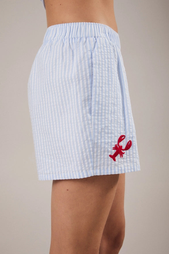 Light blue checkered skirt with a red lobster design on a beige background