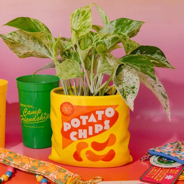 Yellow 'Potato Chips' bag with a plant, green cup, and colorful accessories on a pink background