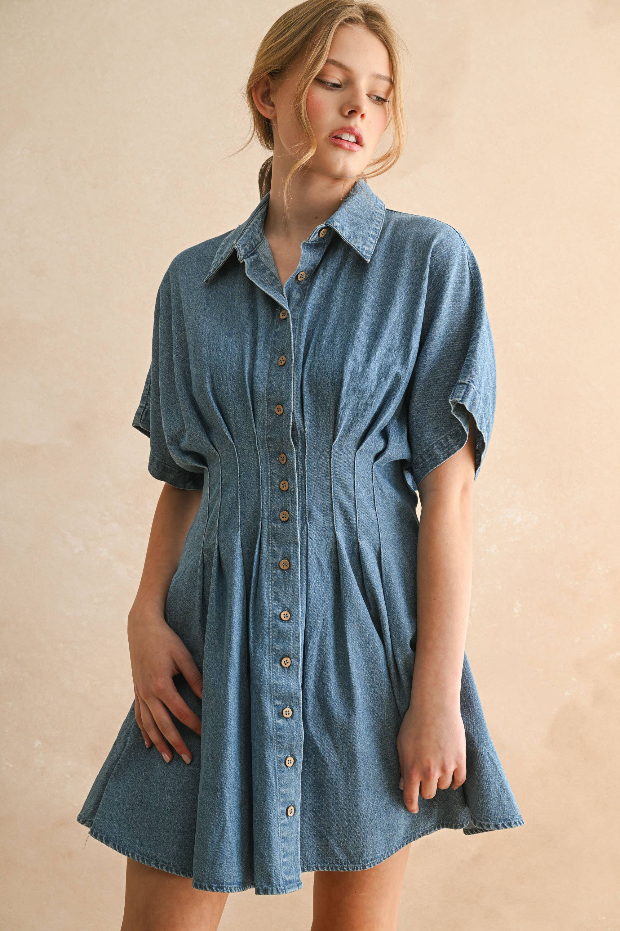 The Rachel Denim Button Down Dress