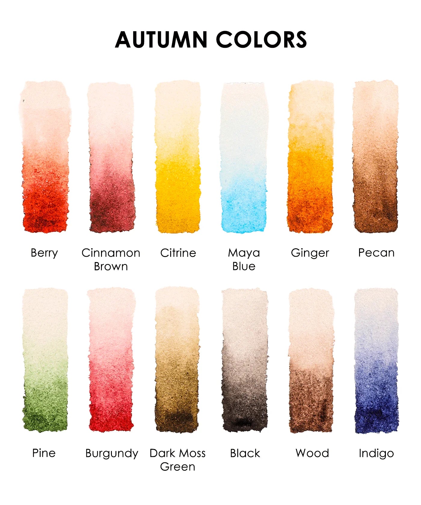 Themed Watercolor Coloring Club Box