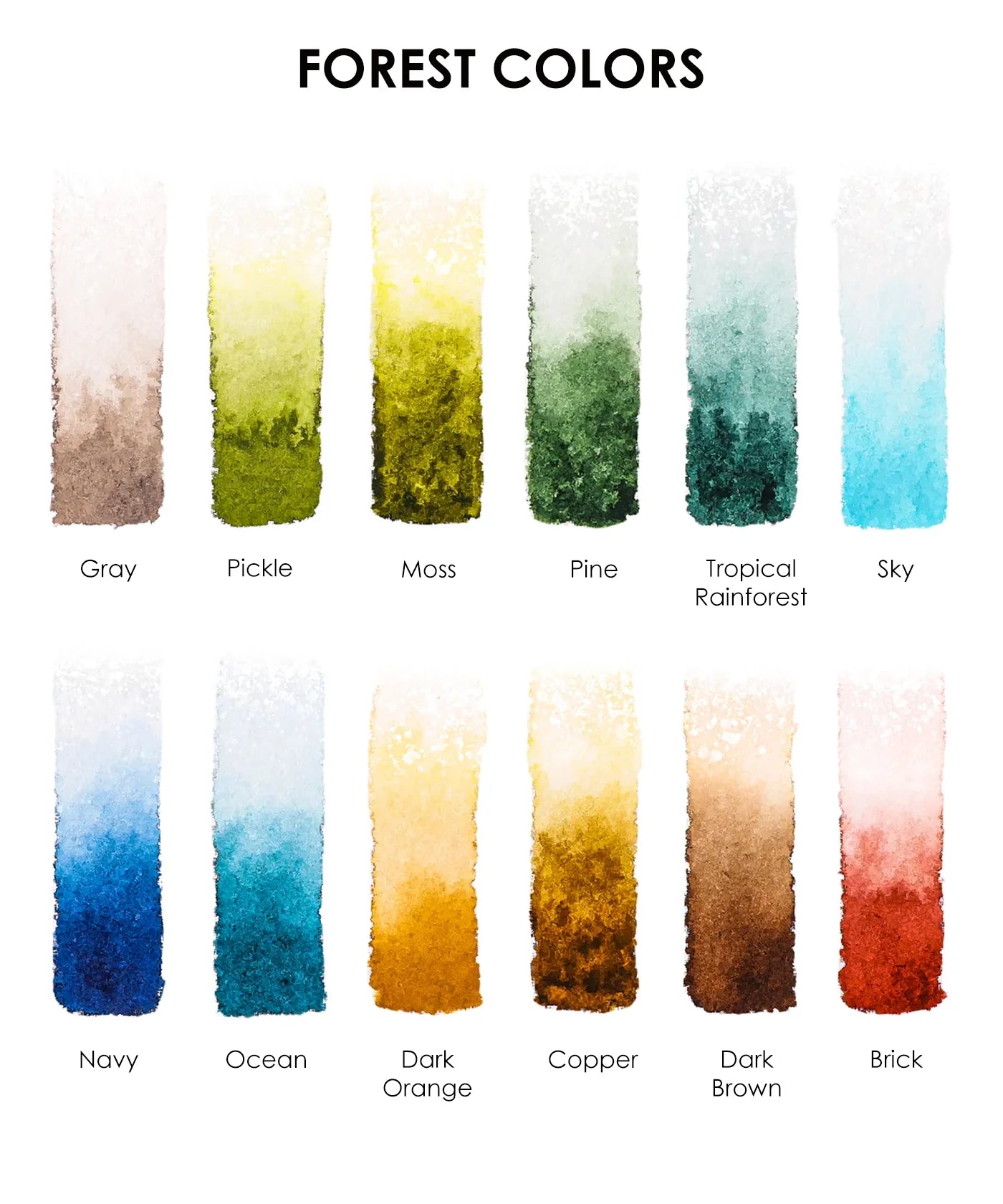 Themed Watercolor Coloring Club Box