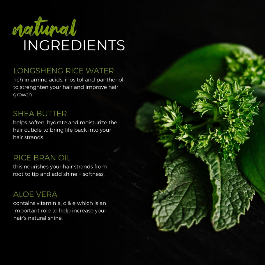 Rice Water Shampoo Bar - Tea Tree Mint Eo