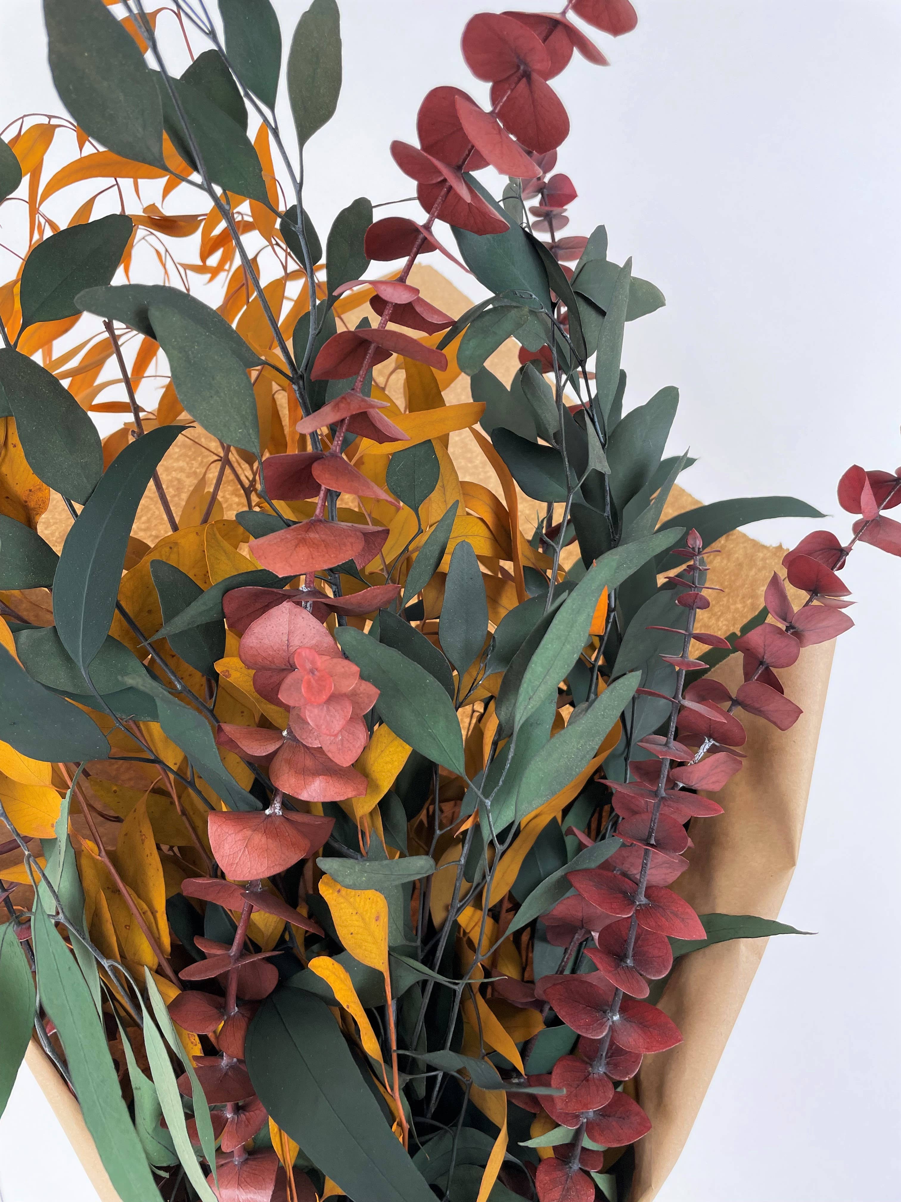 Autumn Eucalyptus Bundle